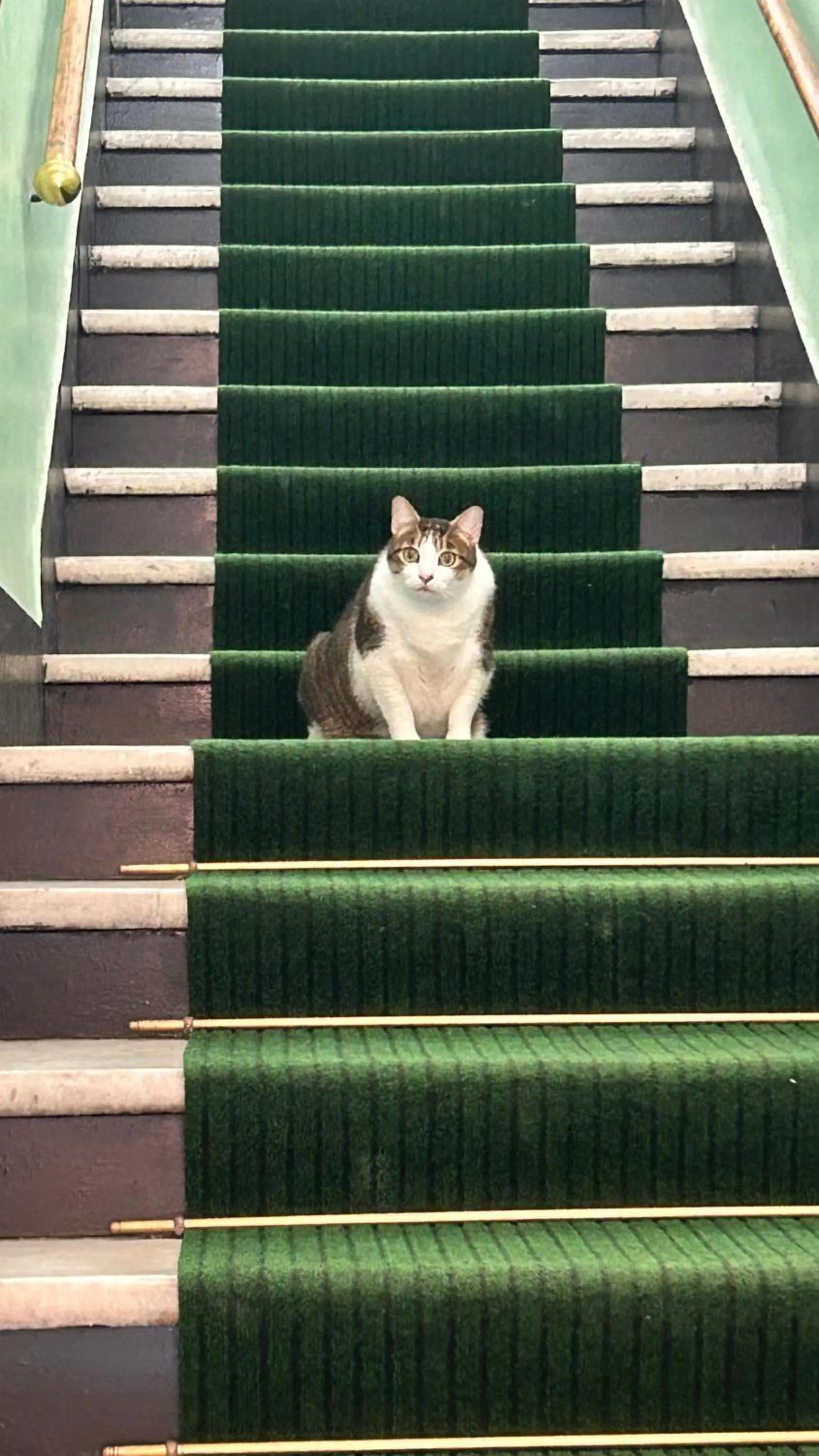 Staff in Albergo fiorita