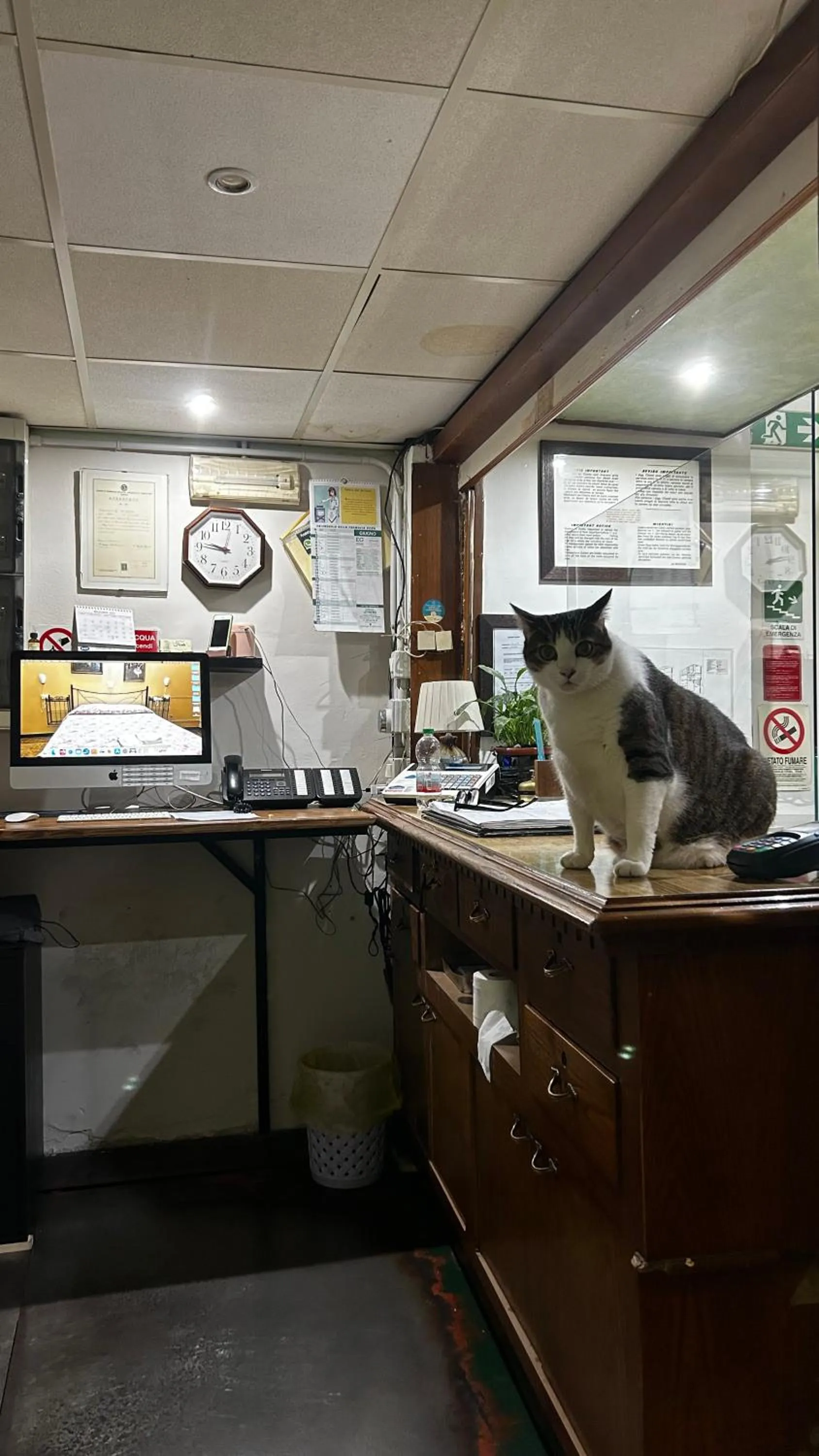 Lobby or reception in Albergo fiorita