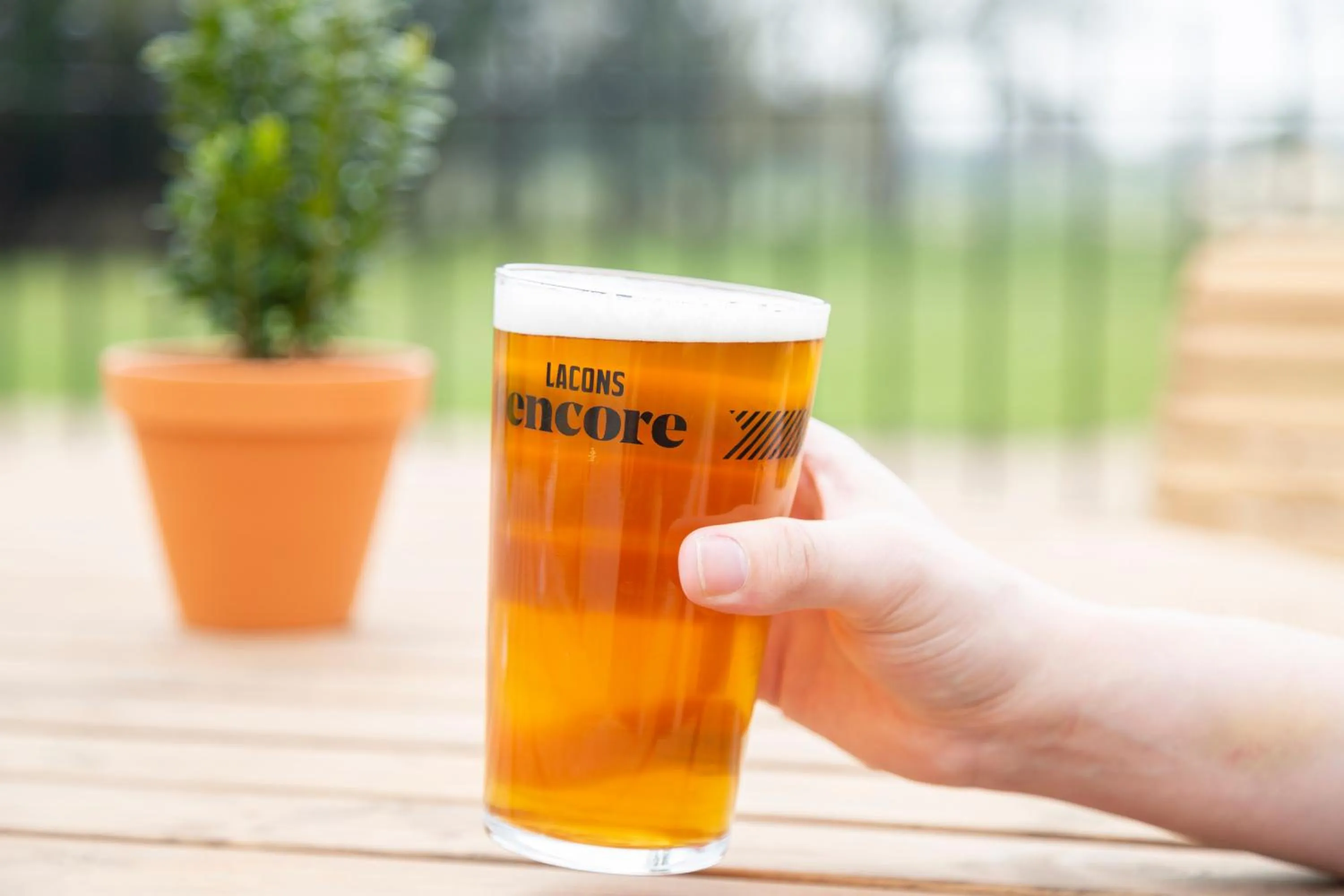 Balcony/Terrace in Worlington Hall