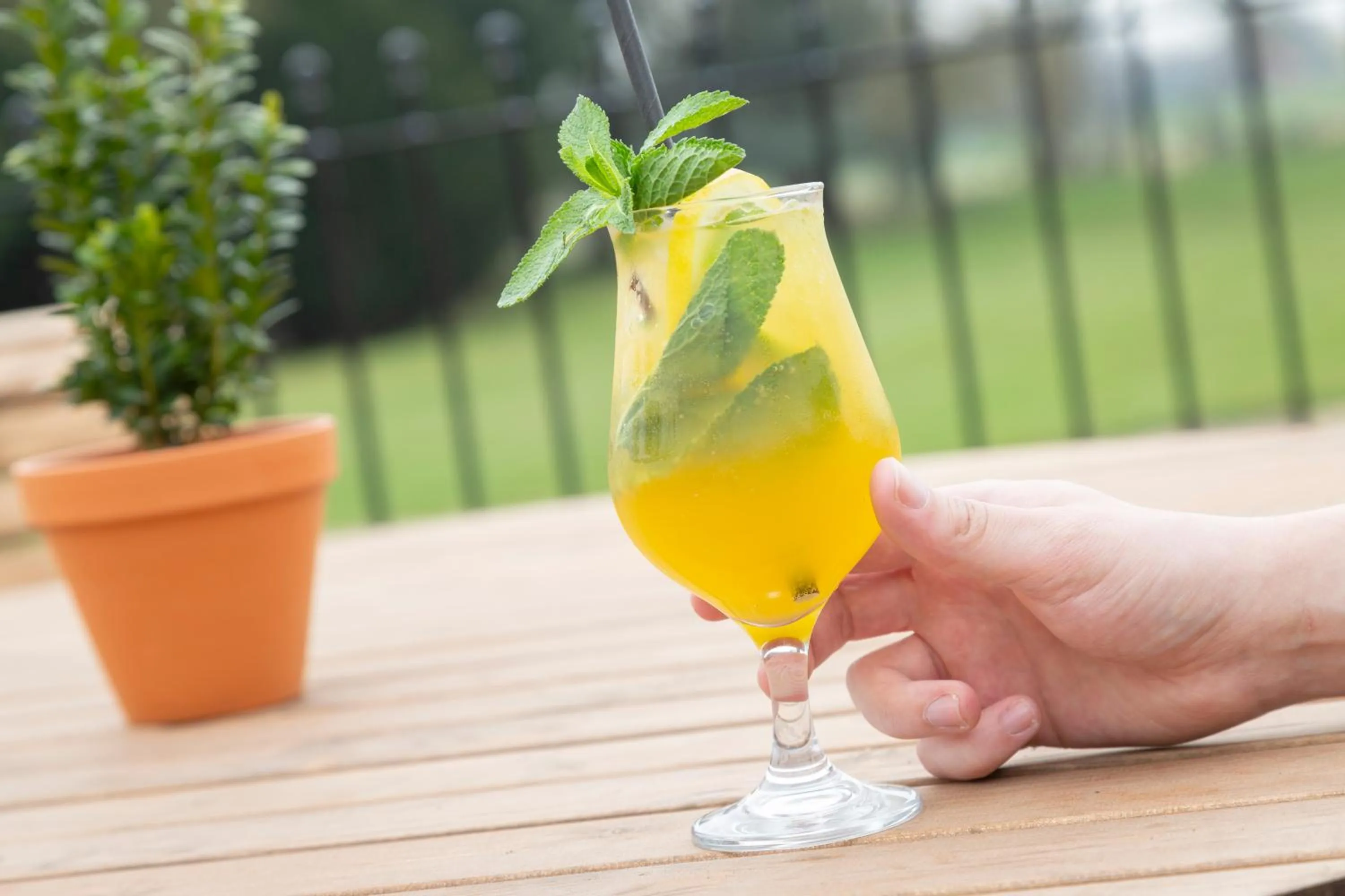 Drinks in Worlington Hall