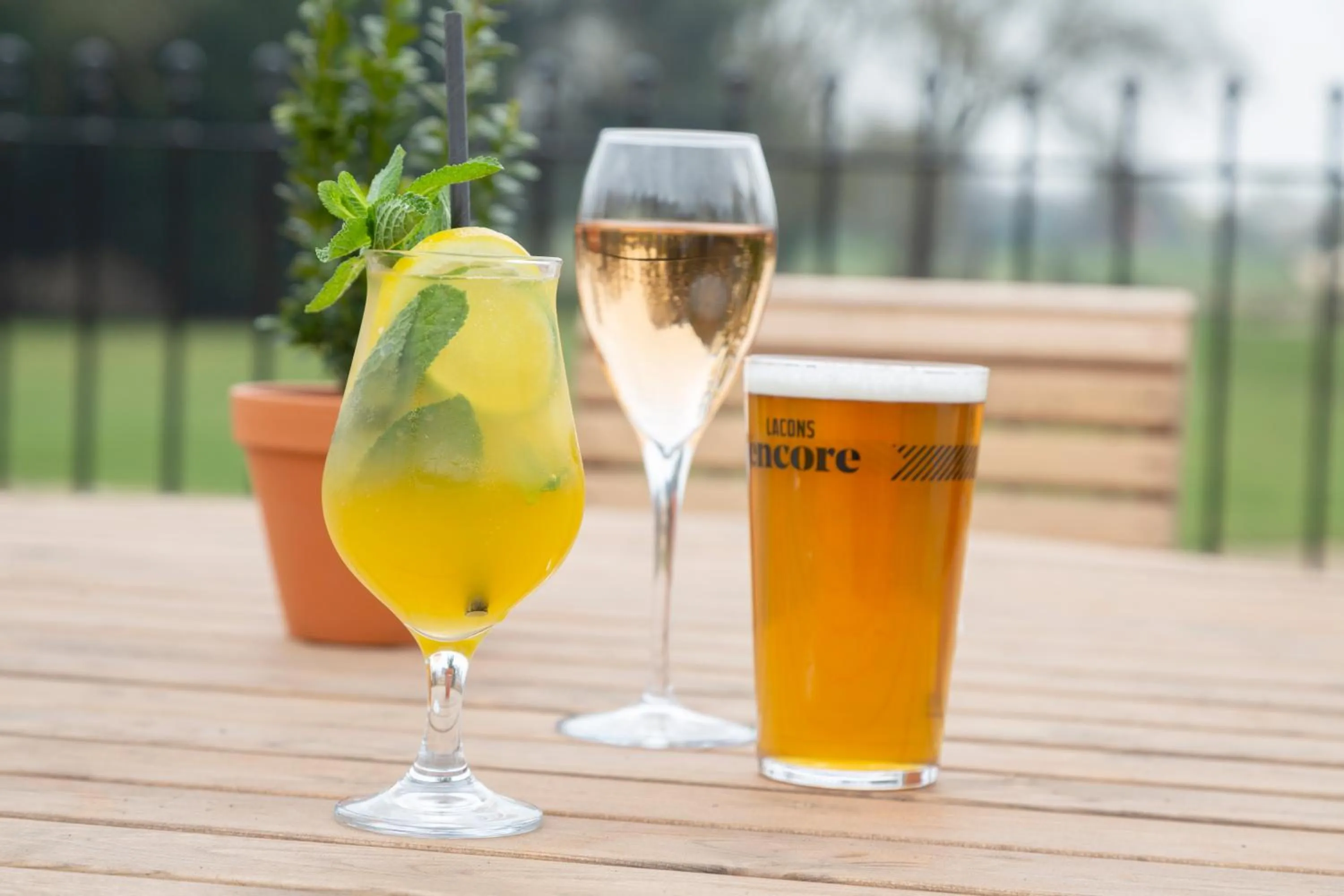 Drinks in Worlington Hall