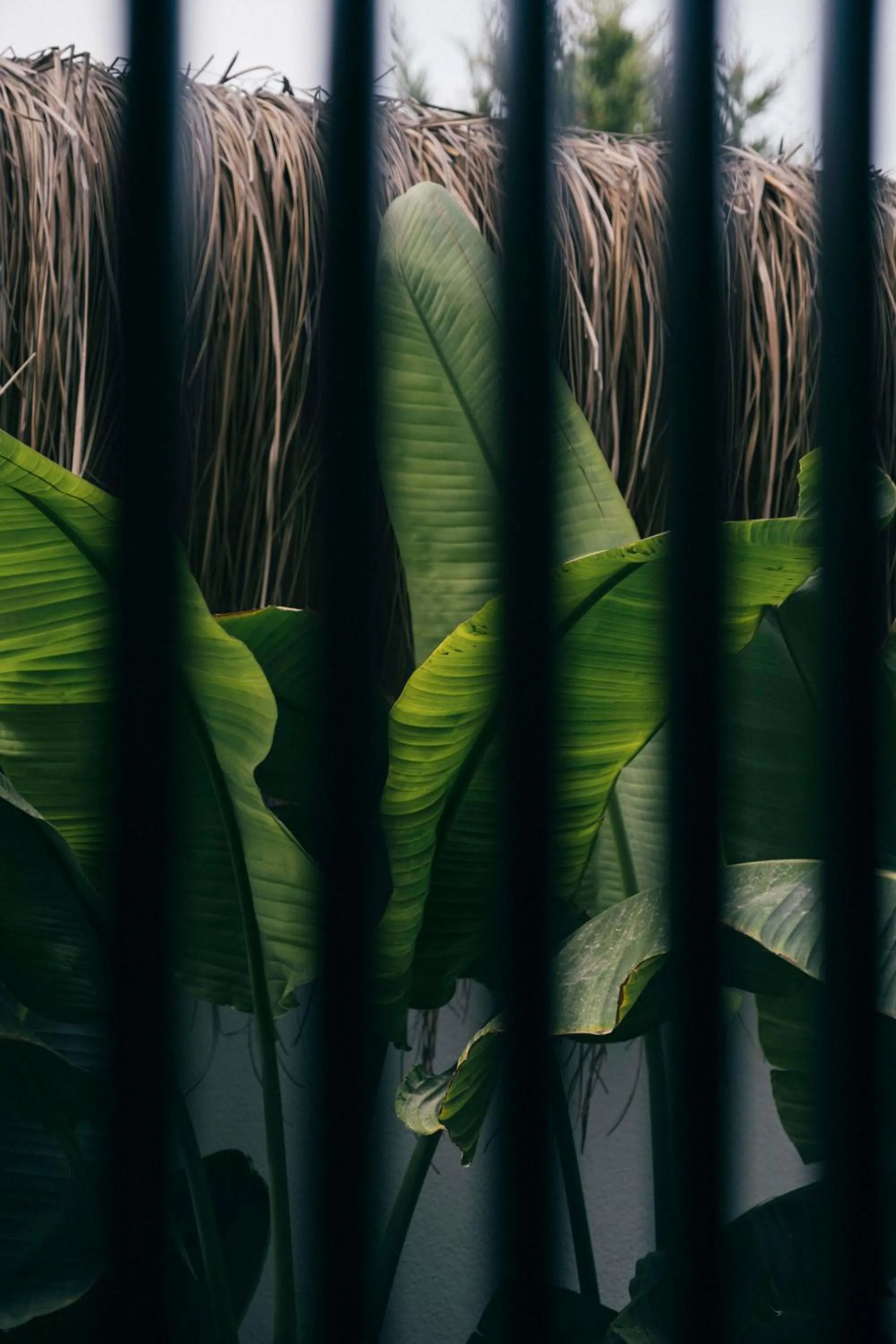 Natural landscape in Primus Alacati Adult Only