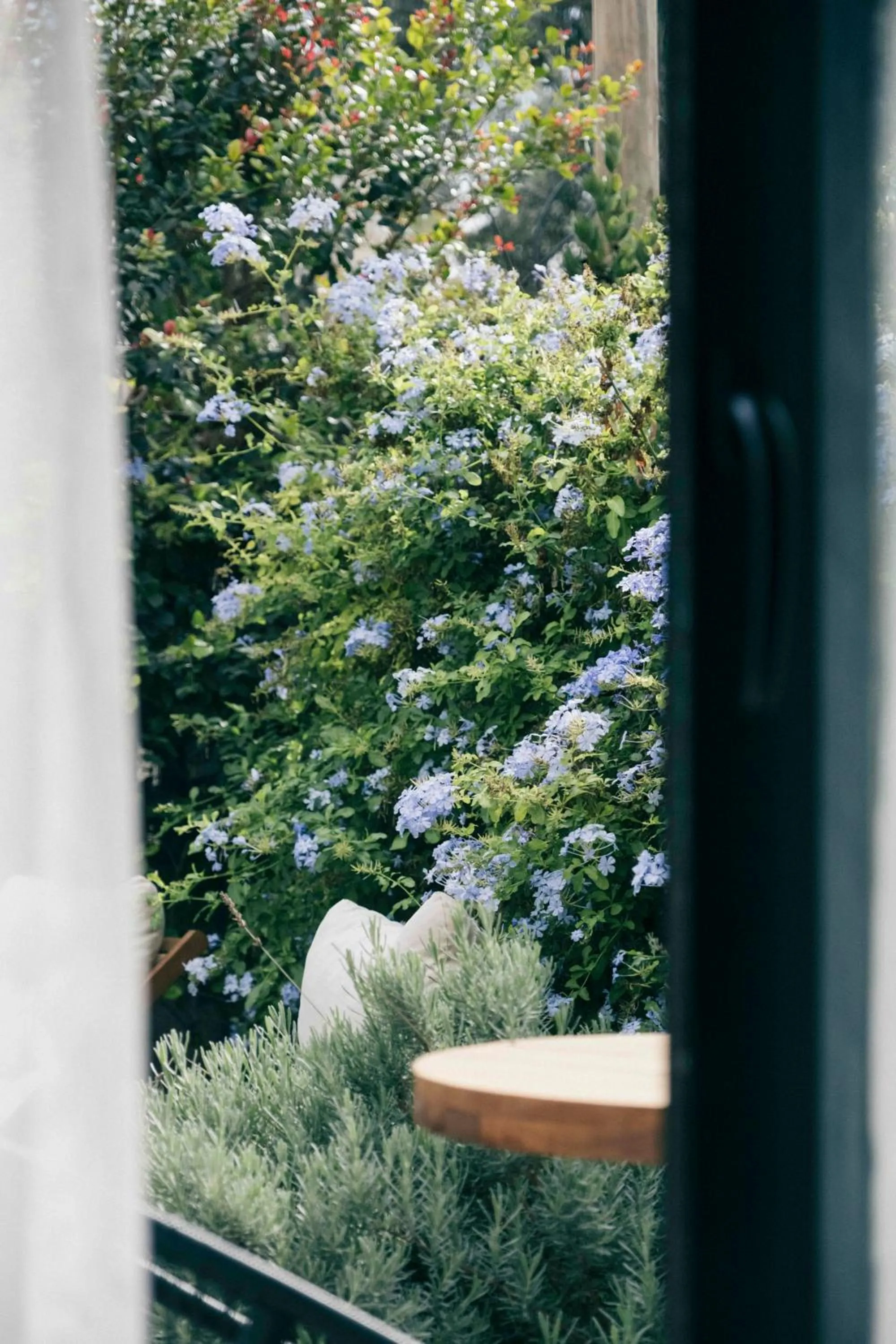 Garden view in Primus Alacati Adult Only