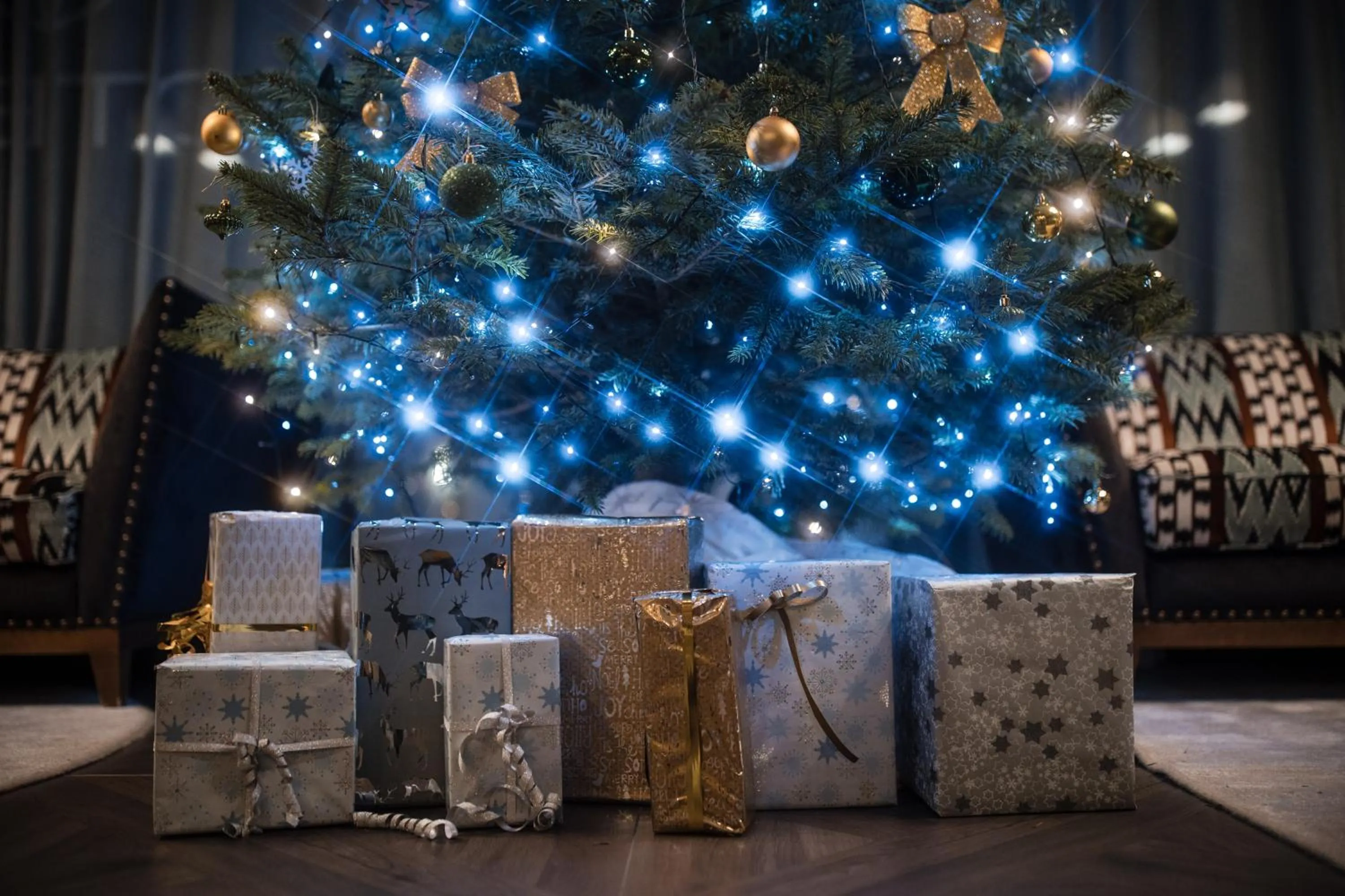 Hotel D Bulle - La Gruyère