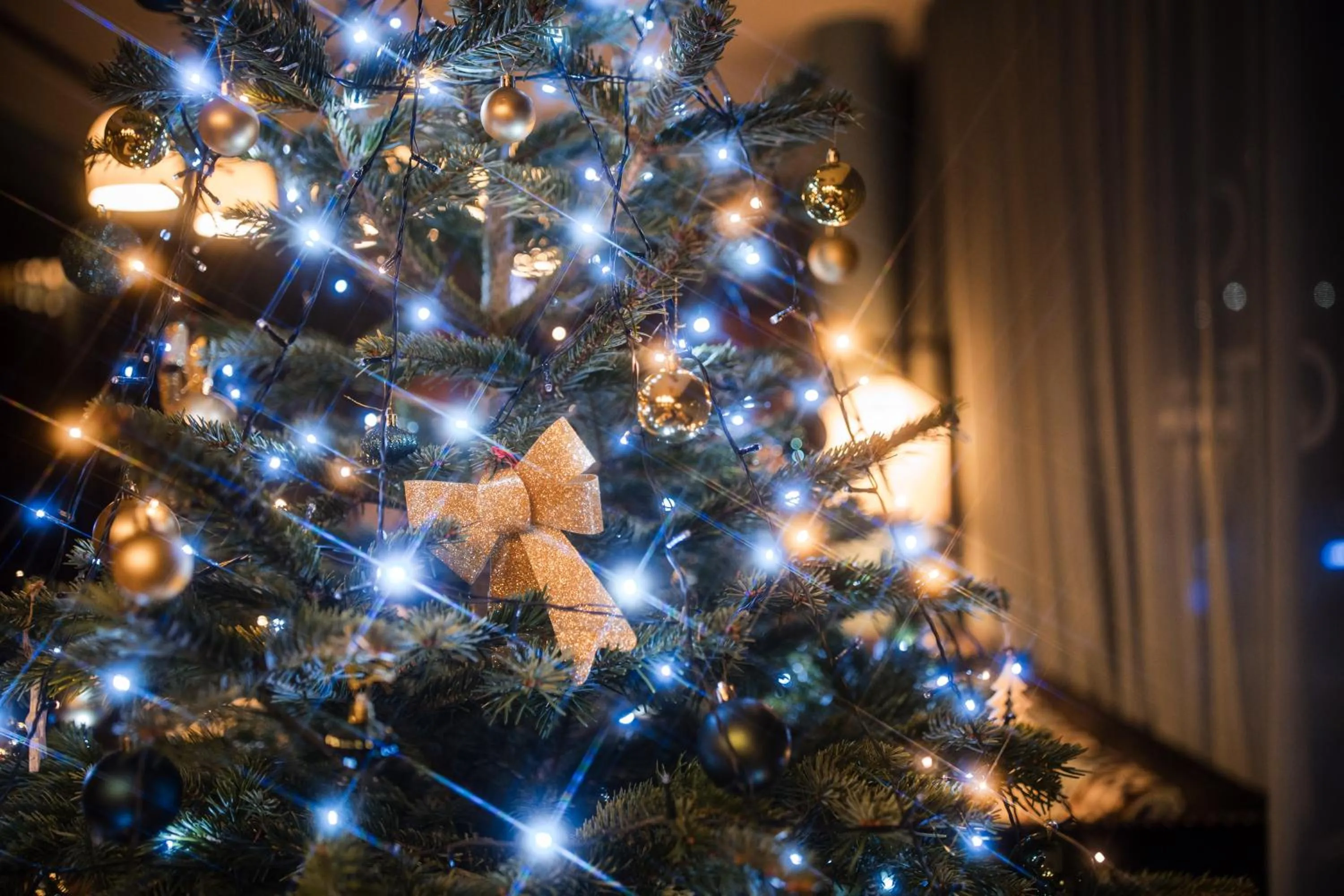 Hotel D Bulle - La Gruyère