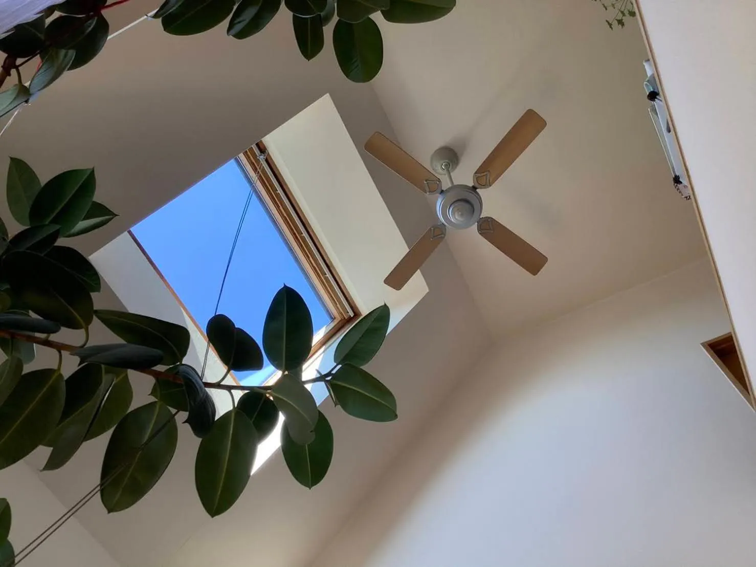 Restaurant/places to eat in Sapporoの実家 B&B Yoshida