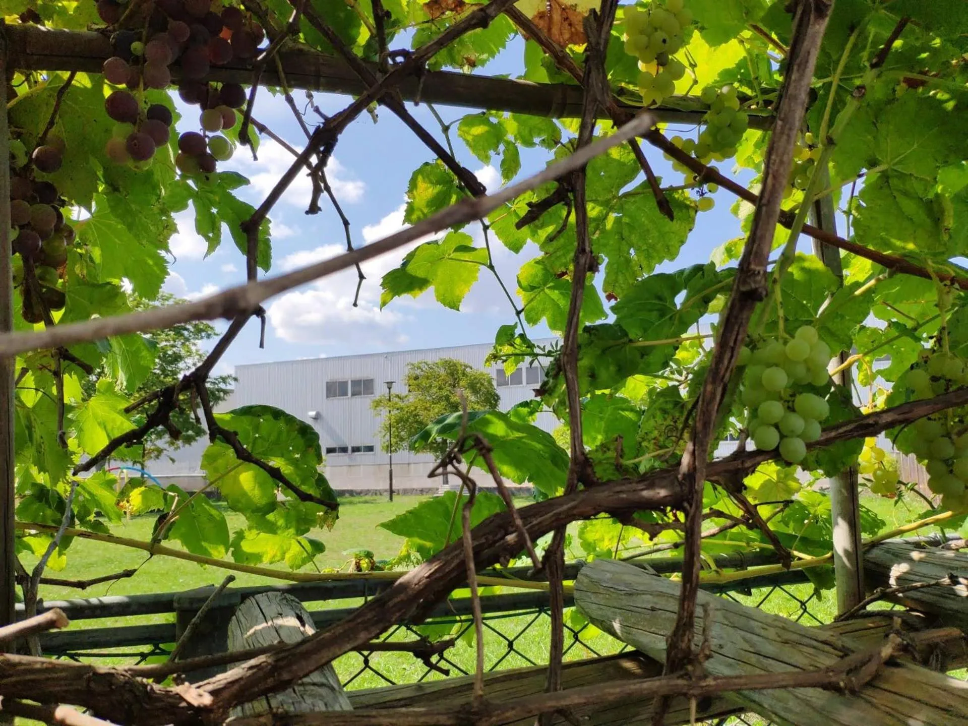 Balcony/Terrace in Sapporoの実家 B&B Yoshida