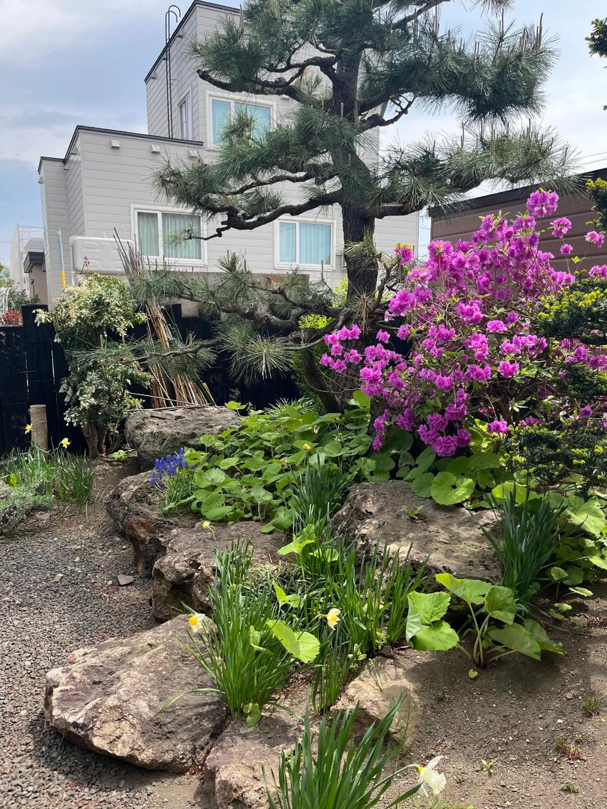 Property building in Sapporoの実家 B&B Yoshida