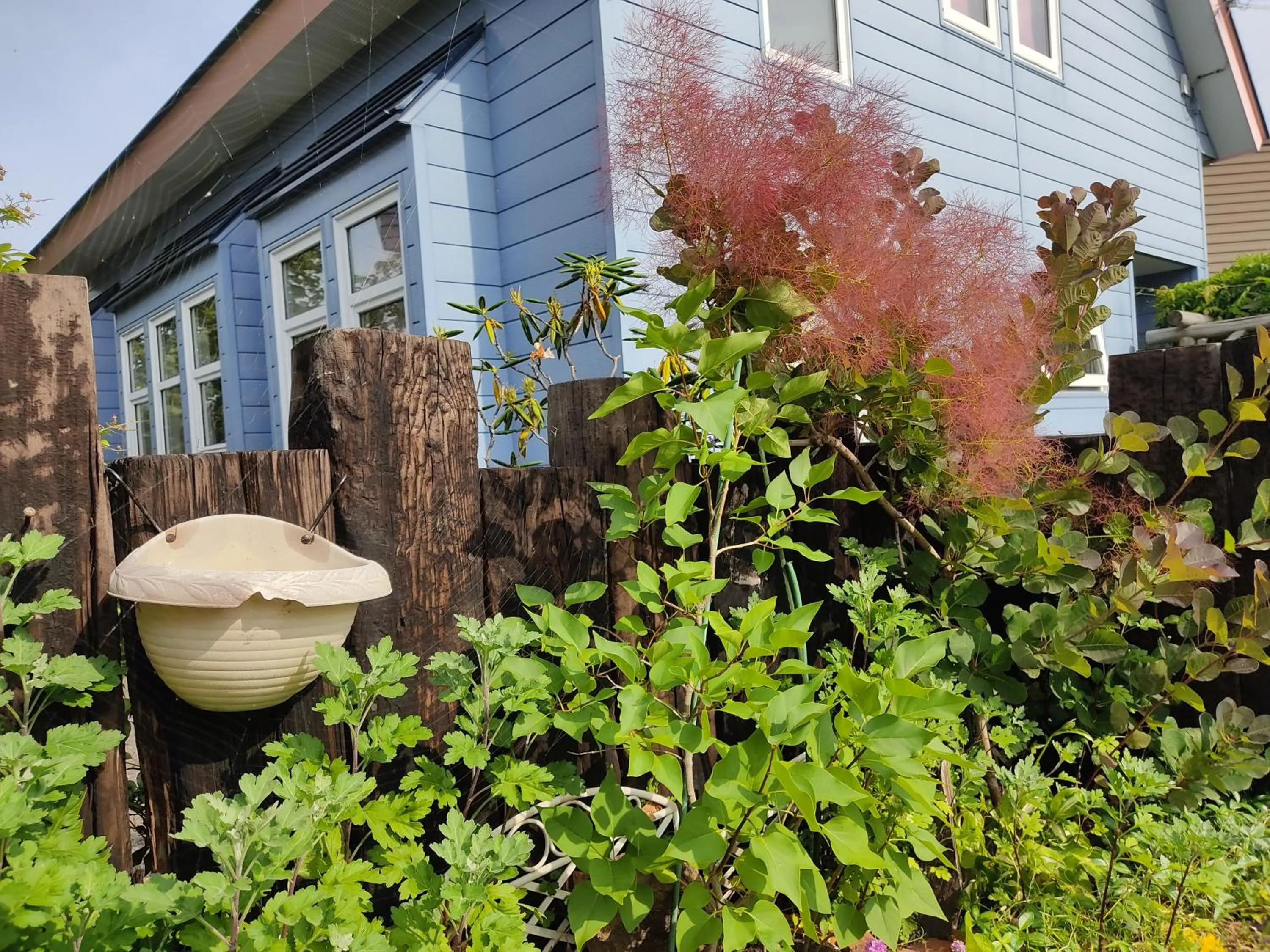 Quiet street view in Sapporoの実家 B&B Yoshida