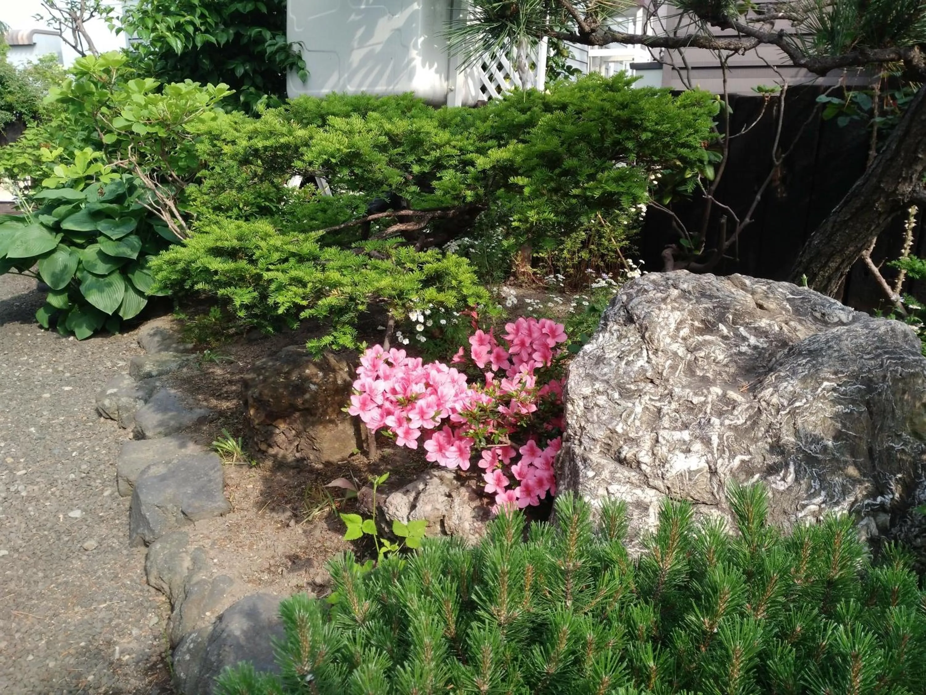 Spring in Sapporoの実家 B&B Yoshida