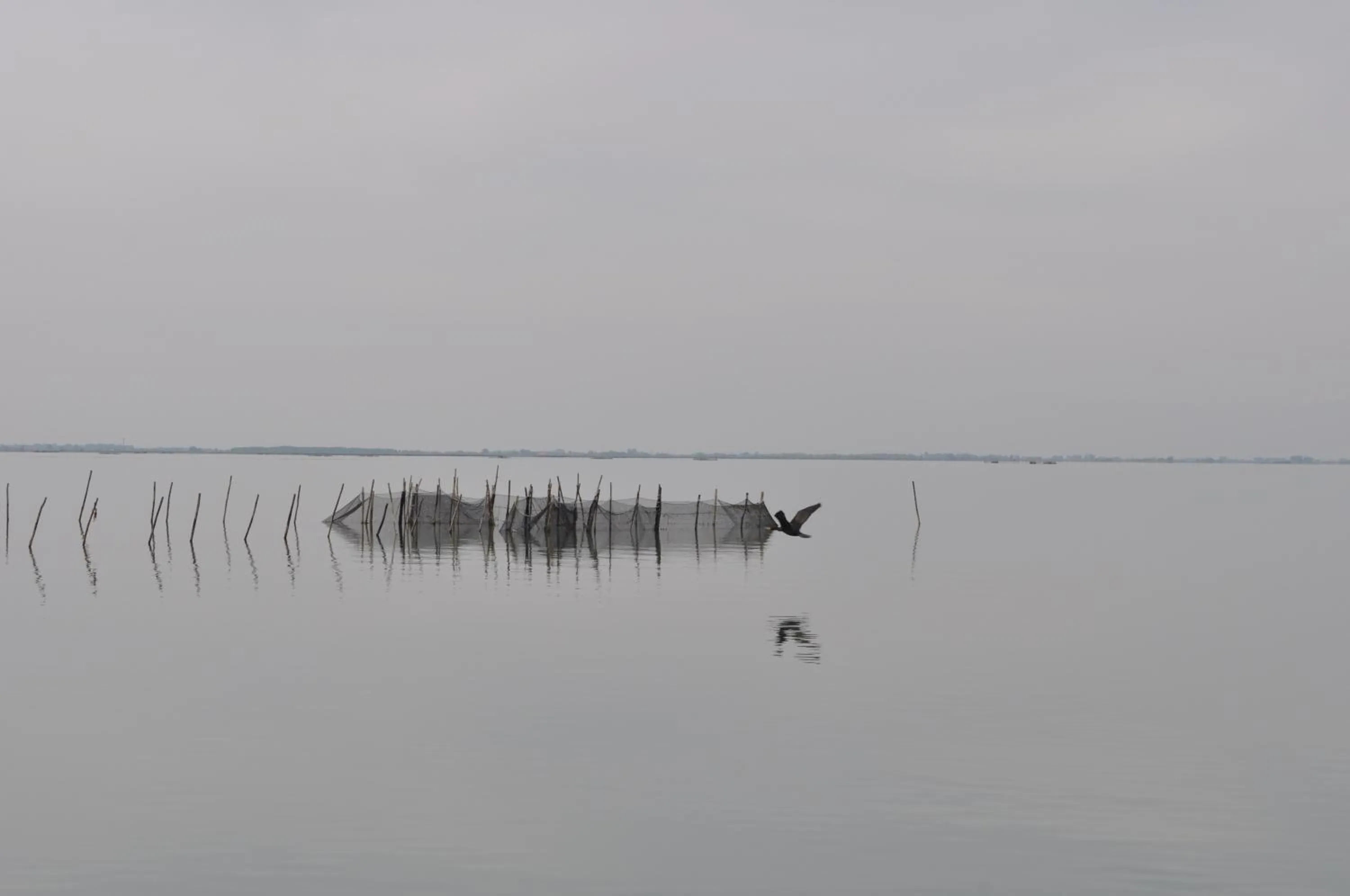 Animals in Agriturismo La Barena