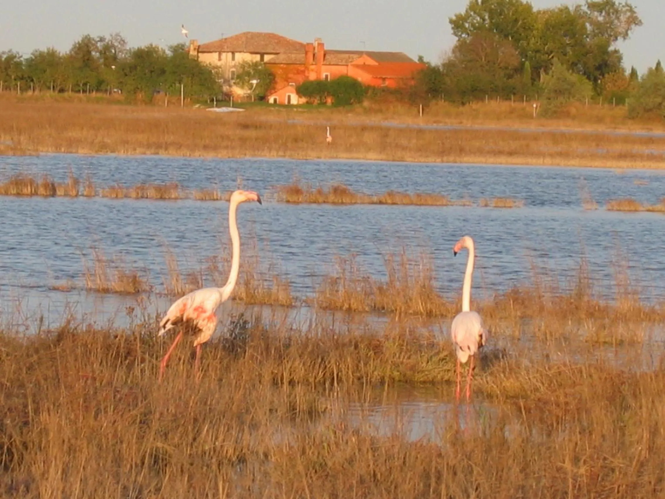 Beach in Agriturismo La Barena