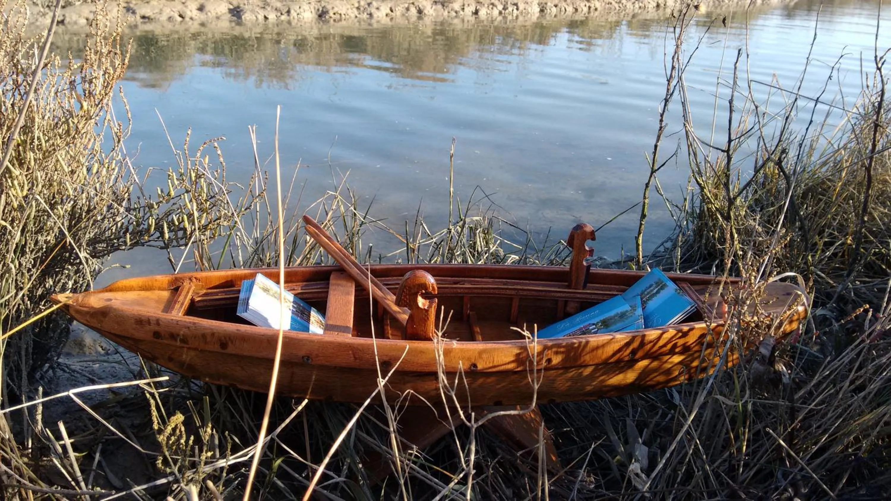 Natural landscape in Agriturismo La Barena