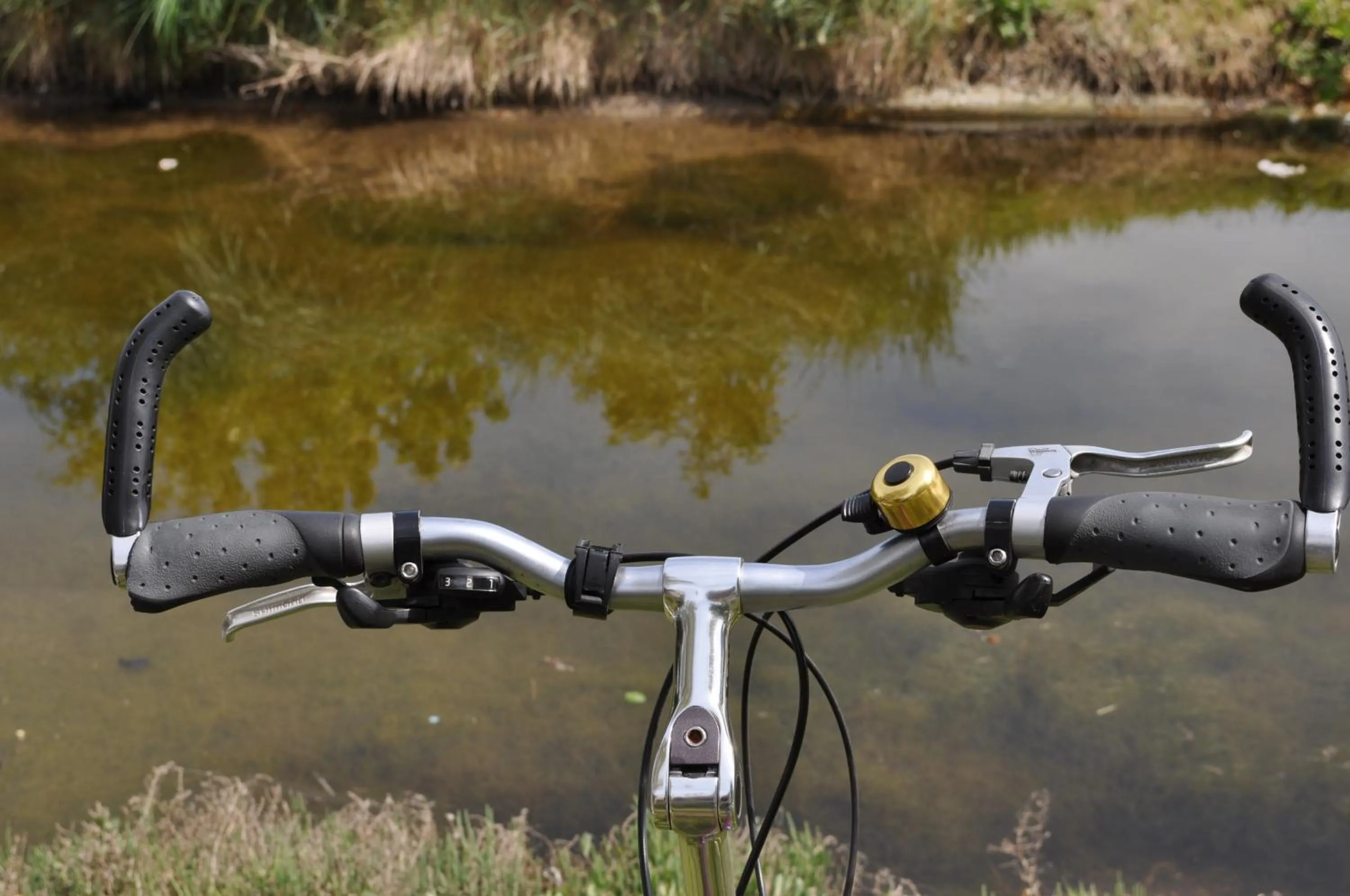 Cycling in Agriturismo La Barena