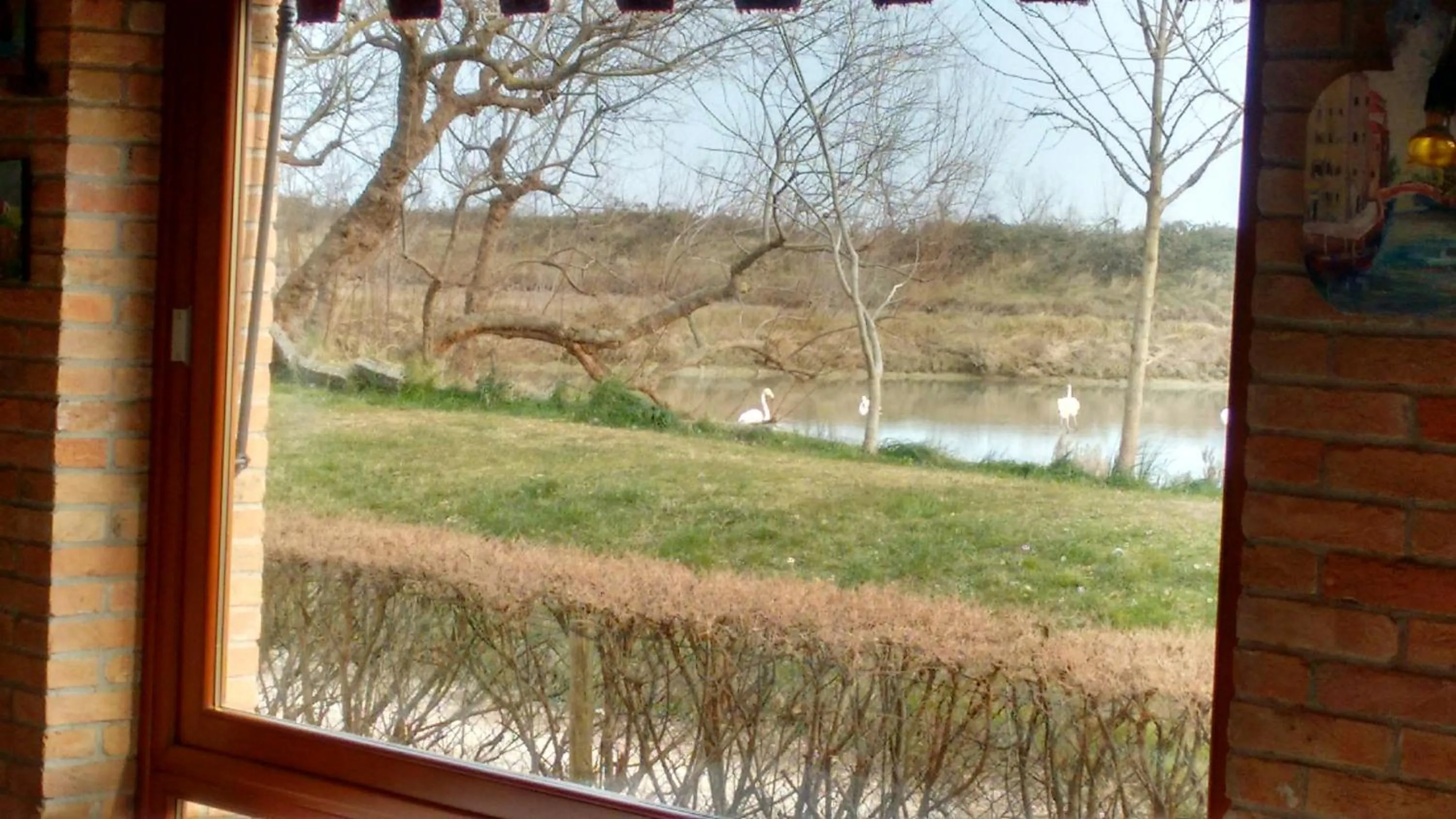 Balcony/Terrace in Agriturismo La Barena