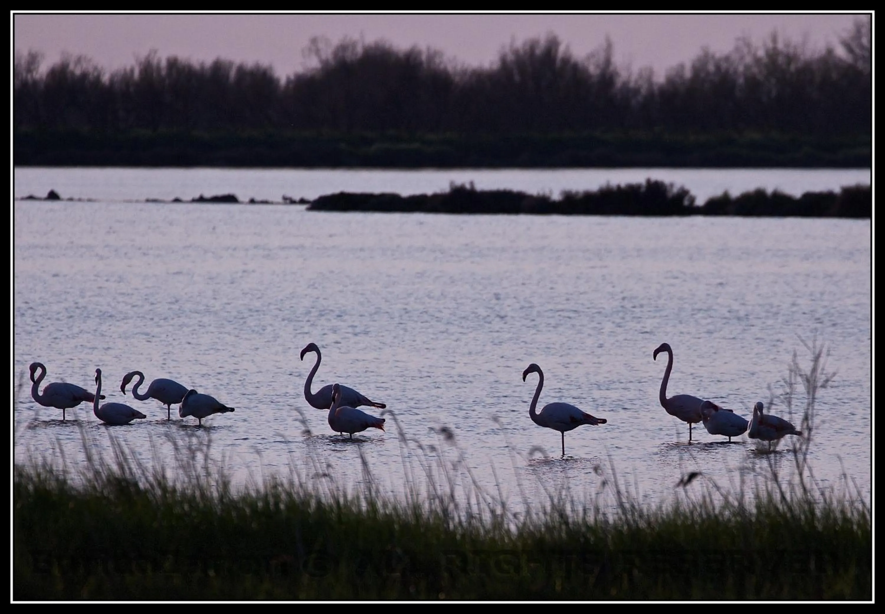 Hiking in Agriturismo La Barena