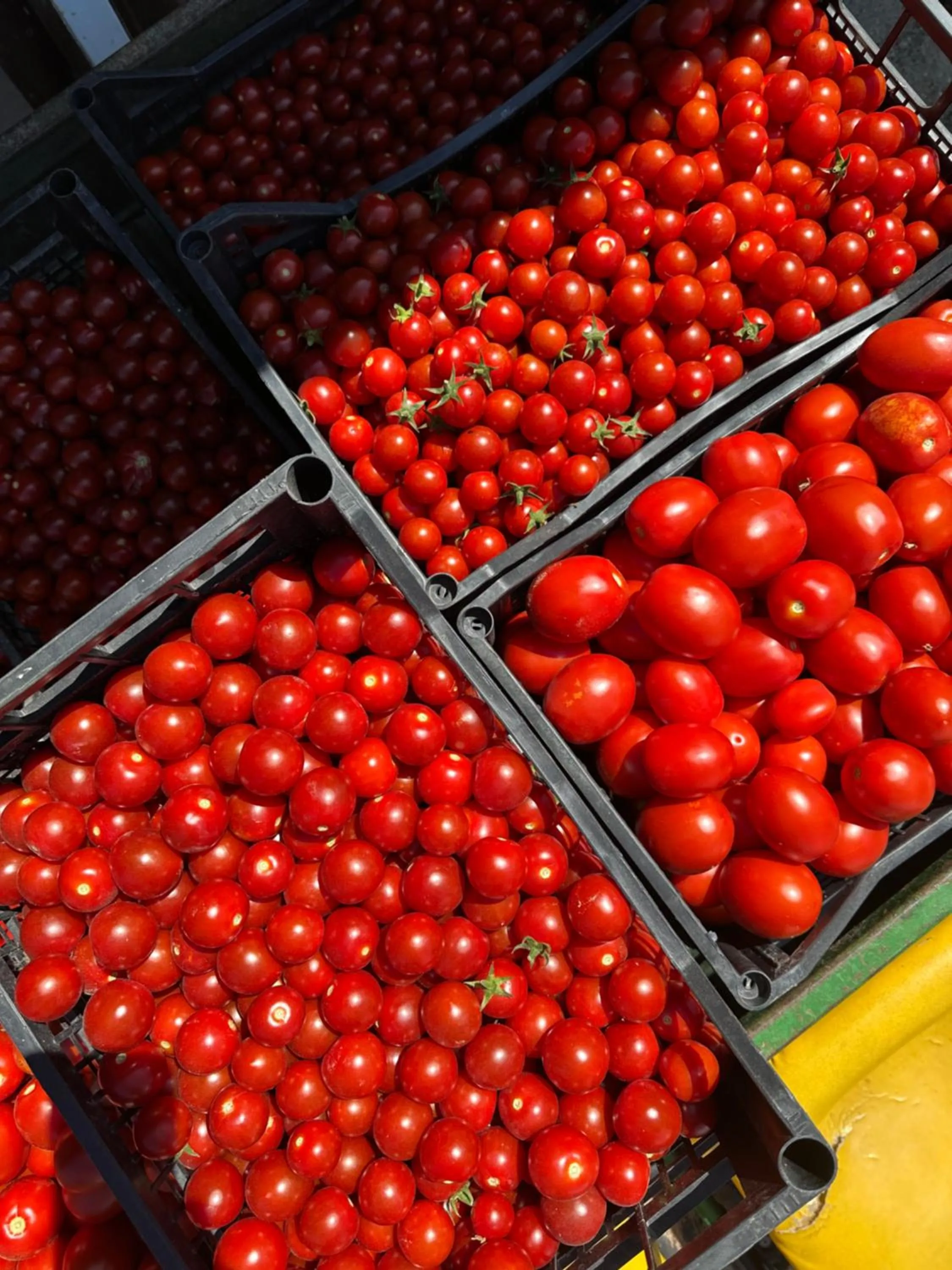 Agriturismo La Barena