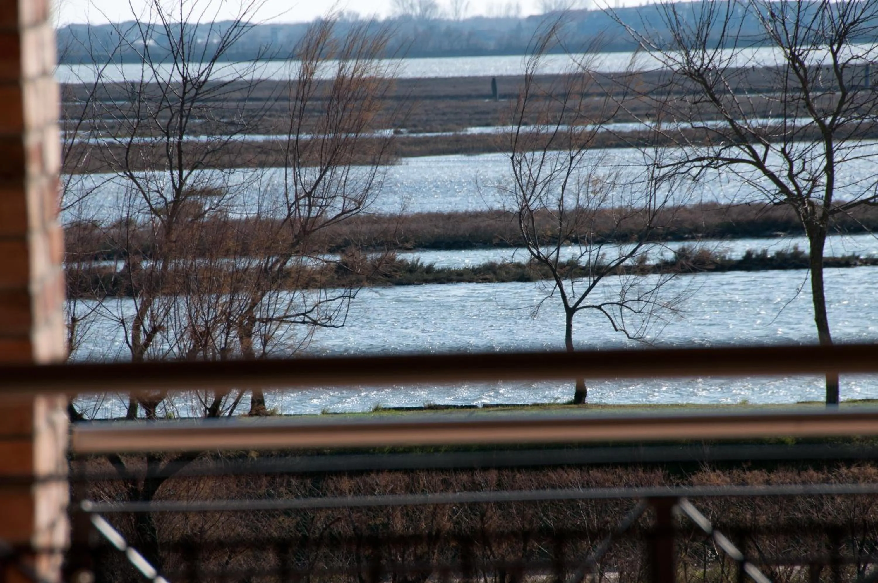 View (from property/room) in Agriturismo La Barena