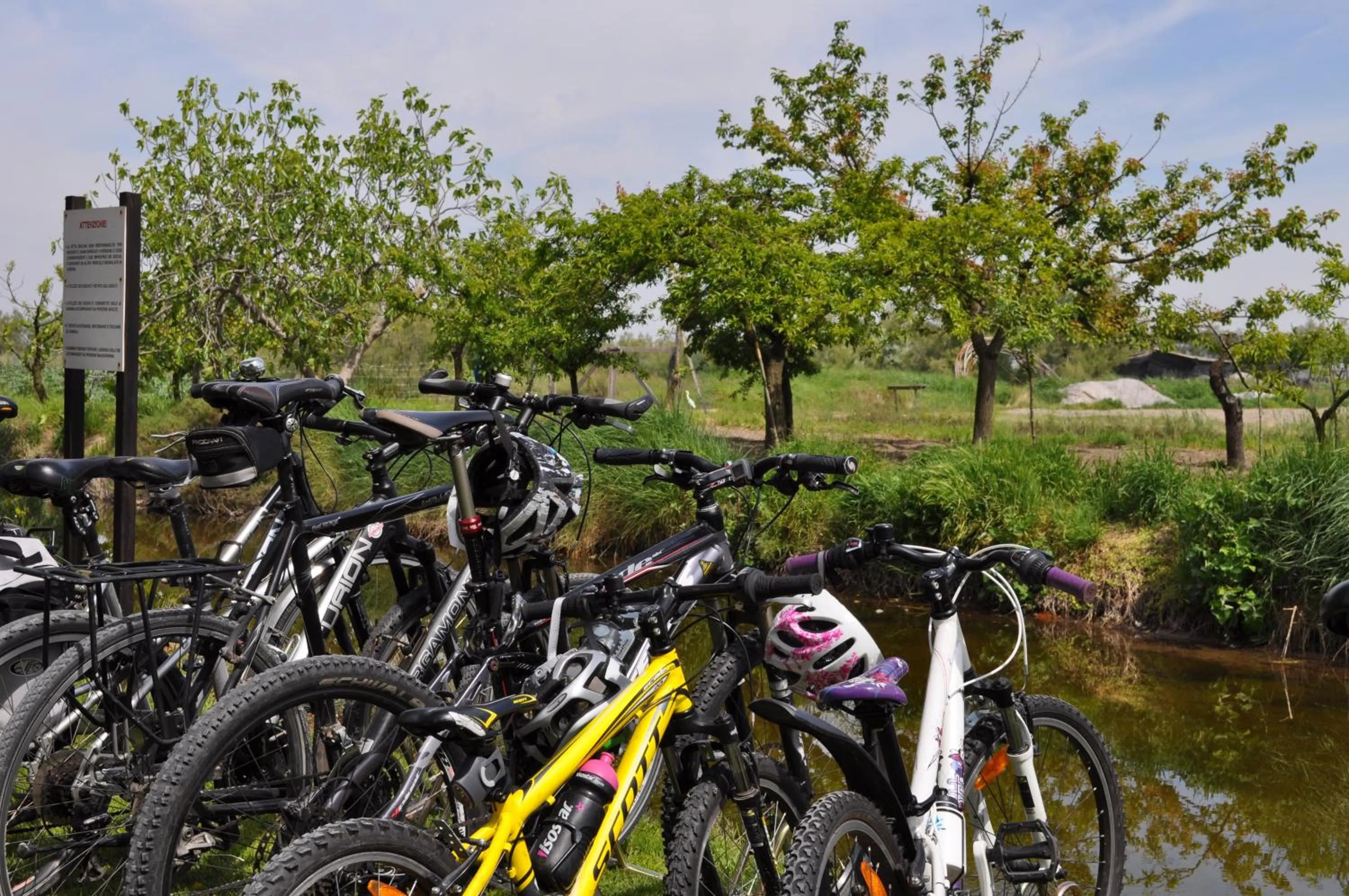 Cycling in Agriturismo La Barena