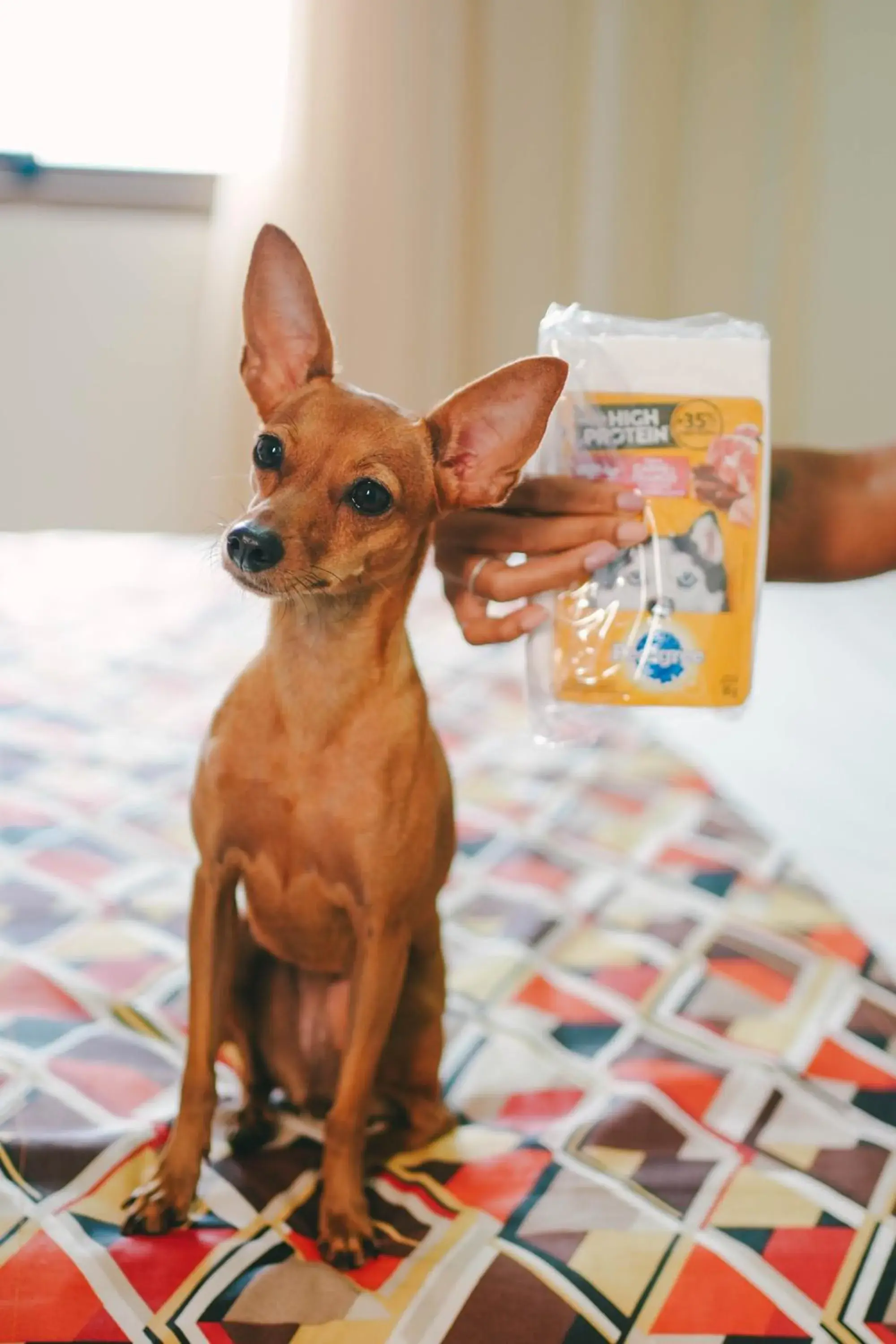 Standard Twin Room in Soft Win Hotel São Luís Standard Twin Room in Soft Win Hotel São Luís