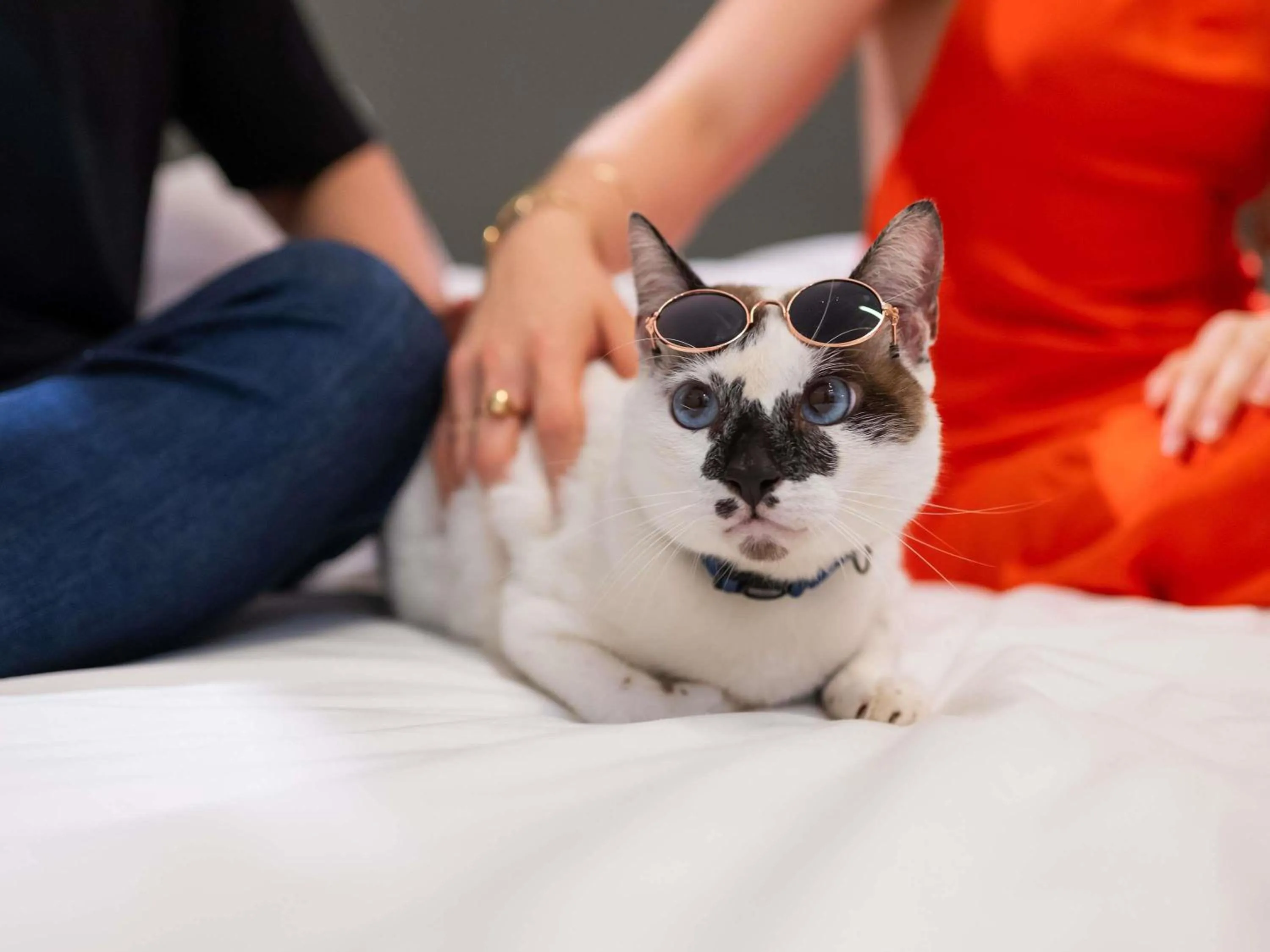 Bedroom in ibis Styles Belém do Pará