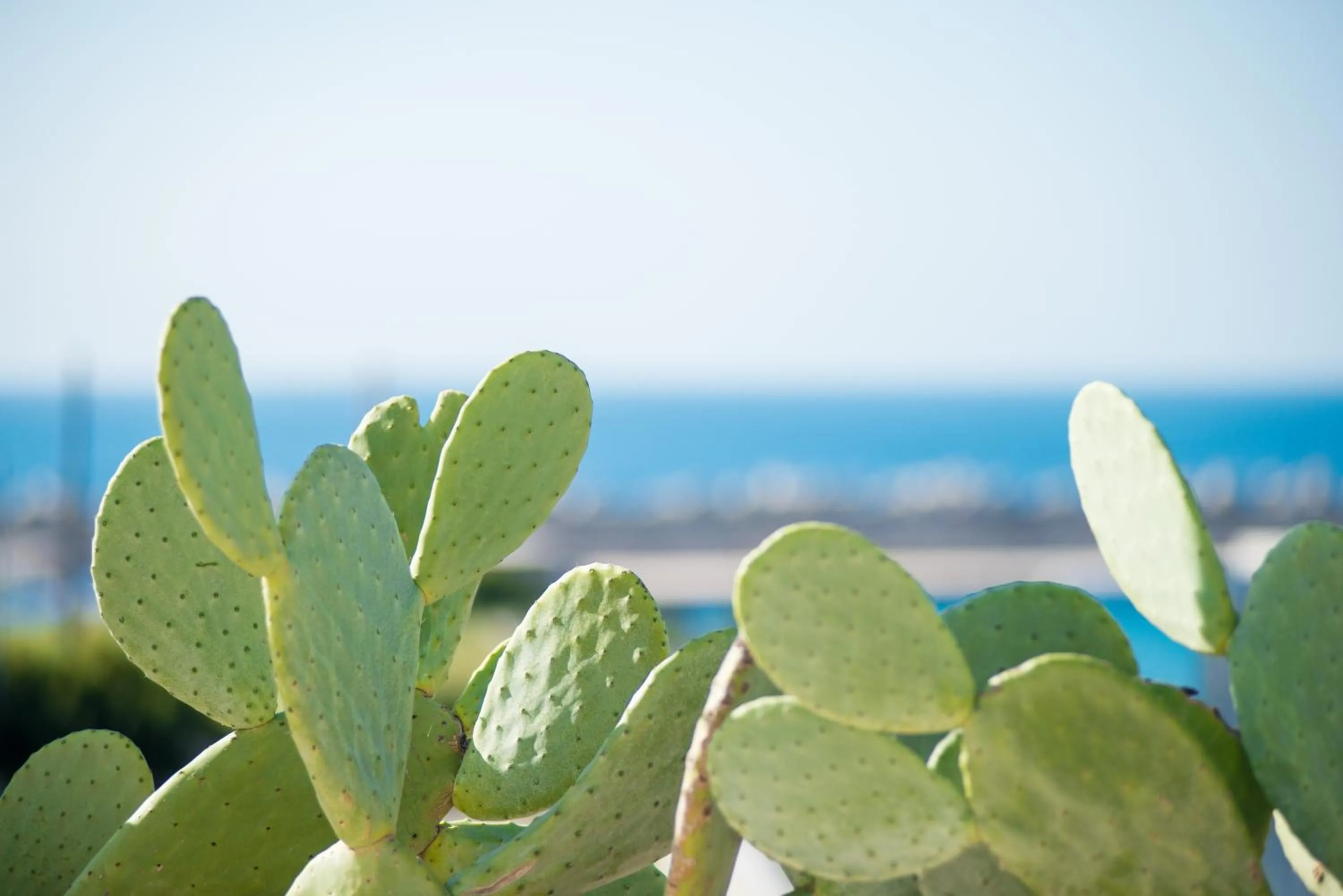 Decorative detail in Approdo Boutique Hotel Leuca