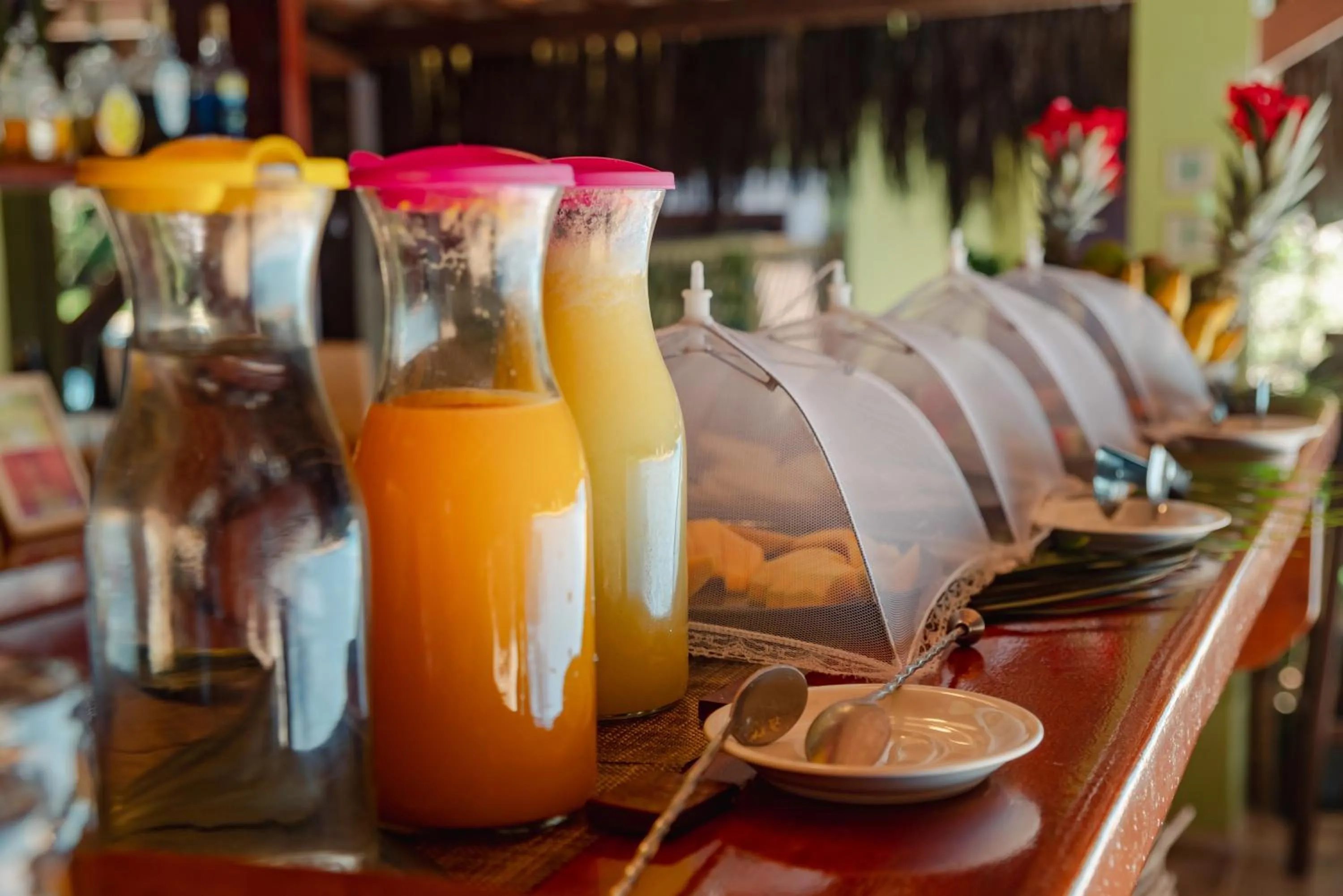 Restaurant/places to eat in Recanto da Mata Pipa