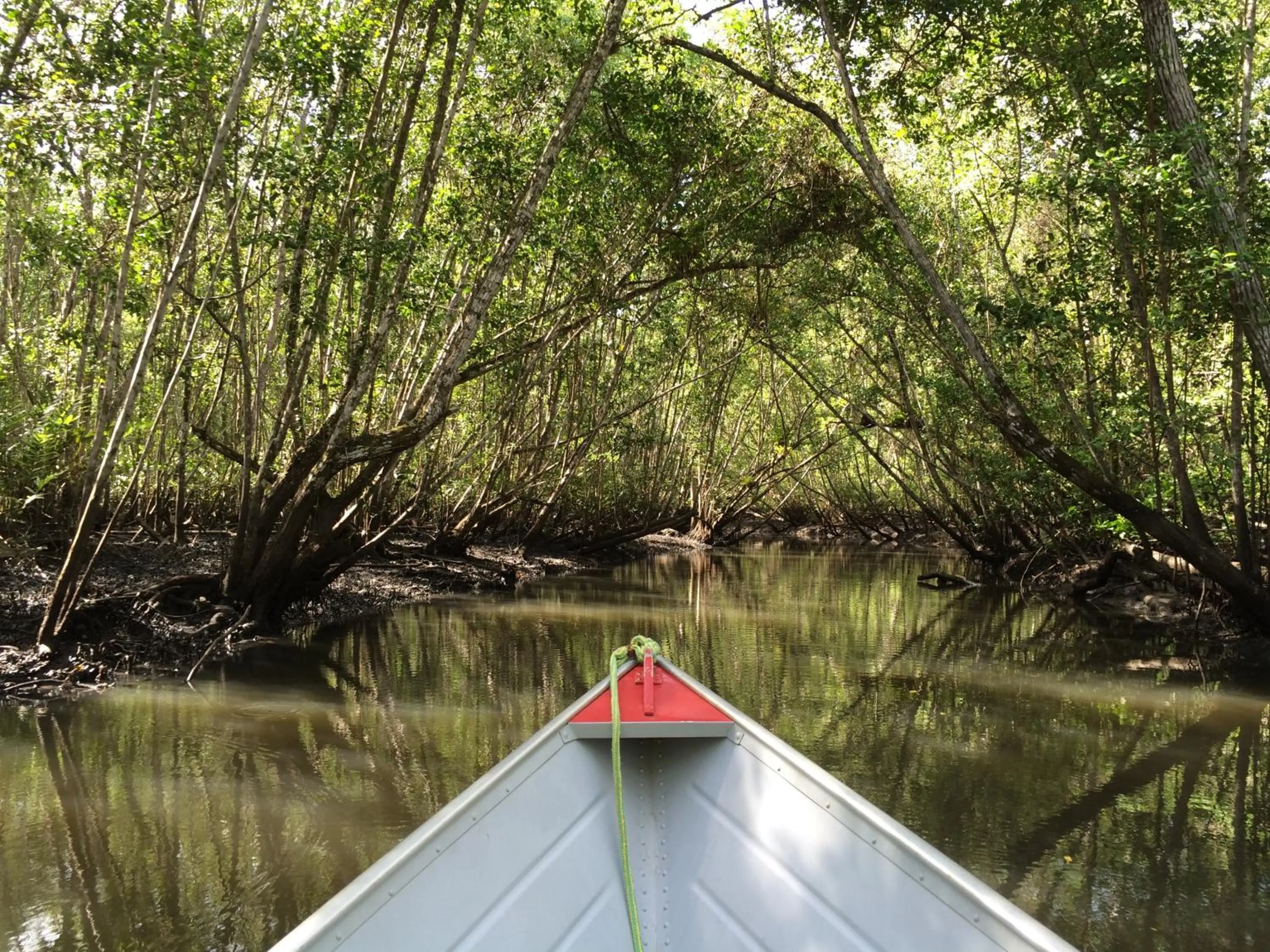 Fishing in Barracuda Boutique