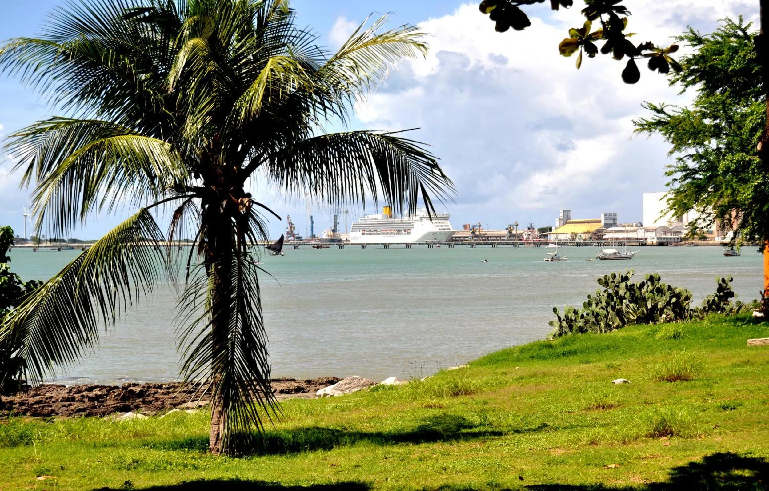 Natural landscape in Seaflats - Meireles - Villa Costeira
