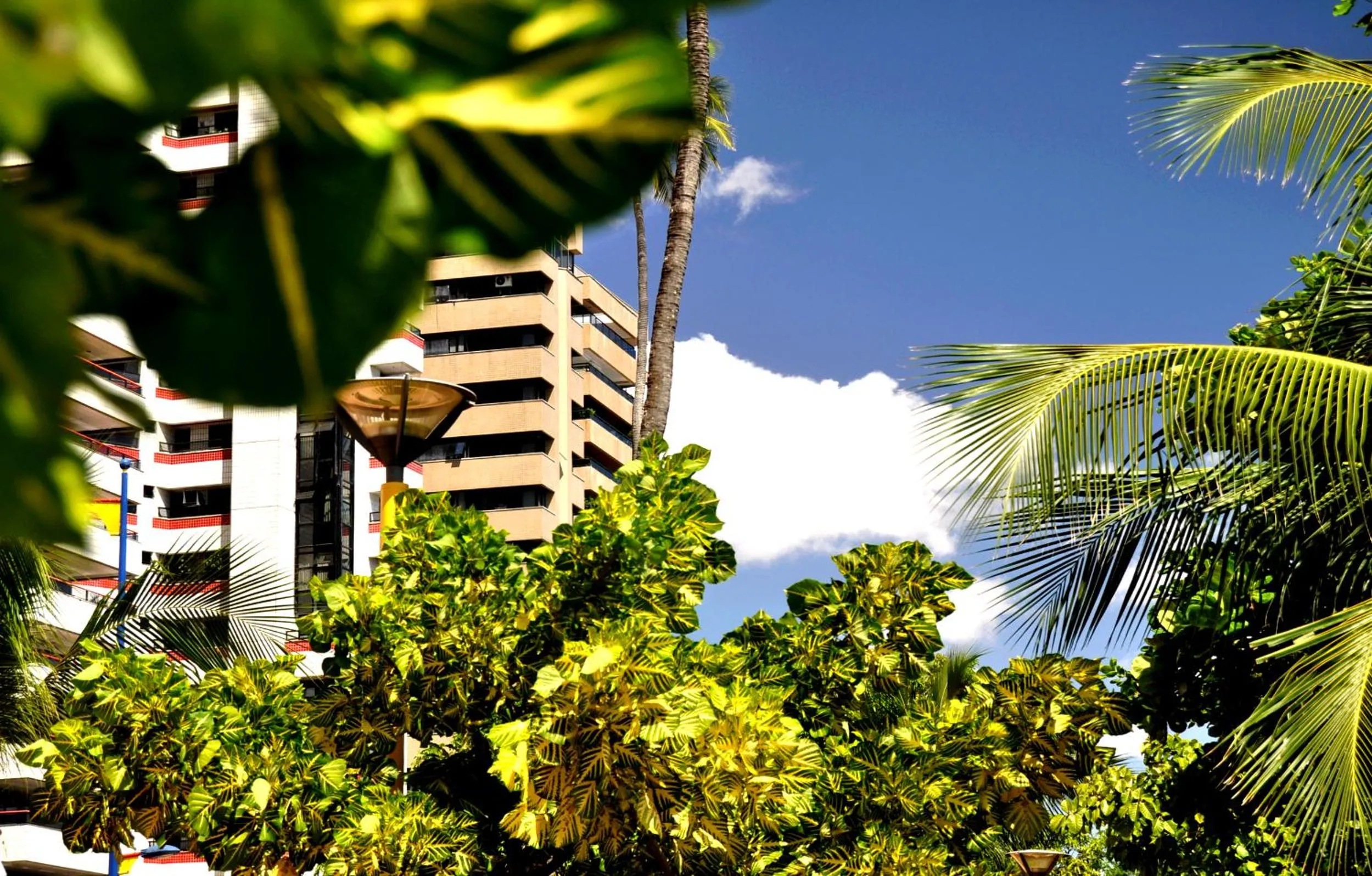 Facade/entrance in Seaflats - Meireles - Villa Costeira