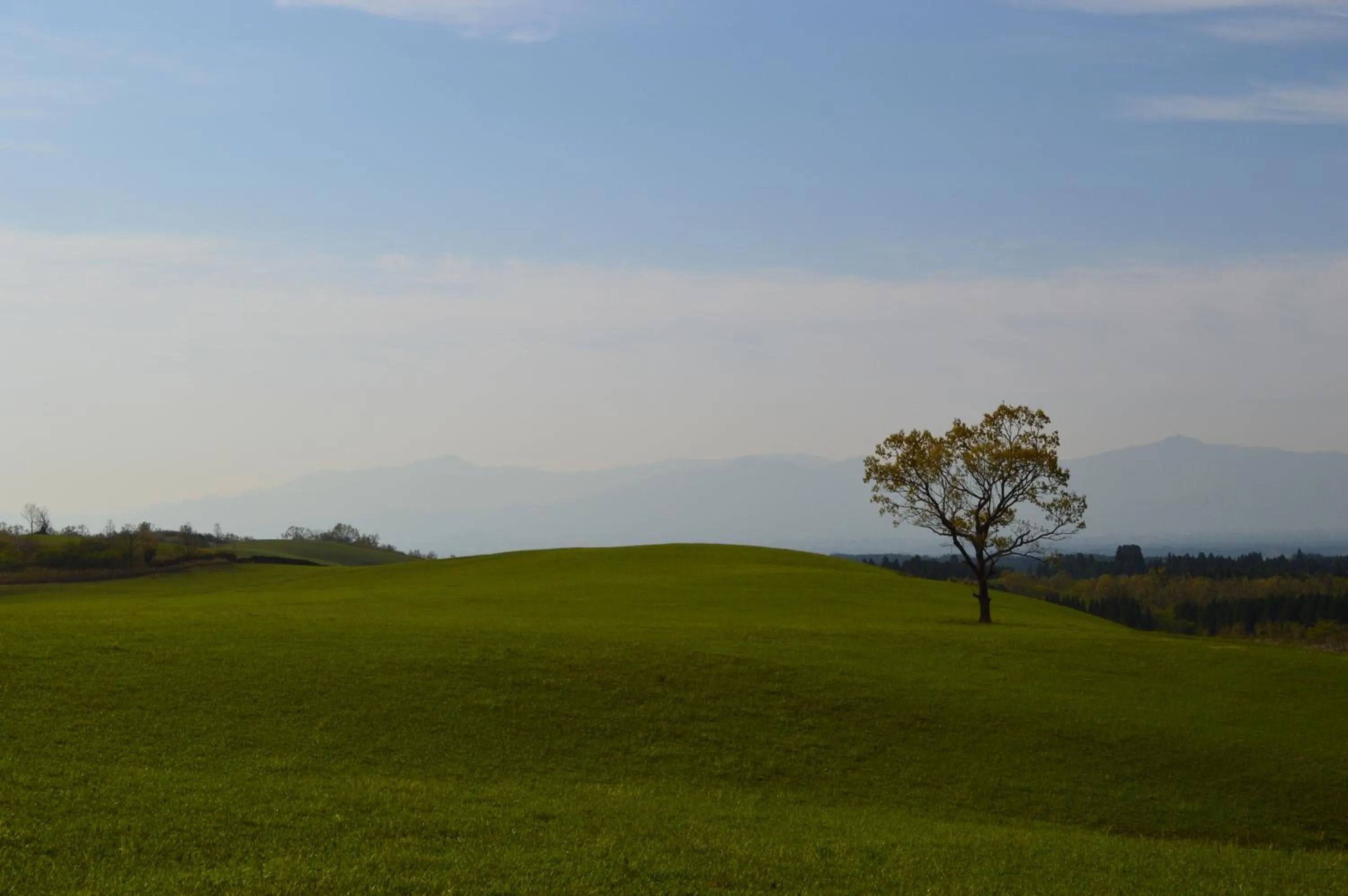 Natural landscape in Resonate Club Kuju