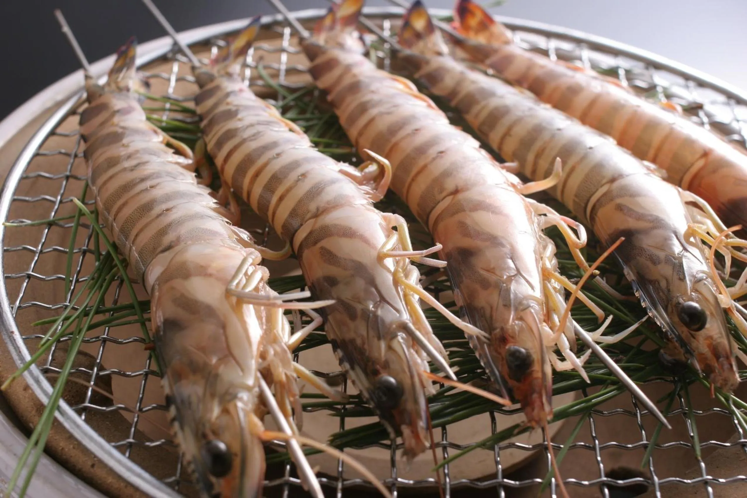 Tabinoyado Ushionoakari Geiboso