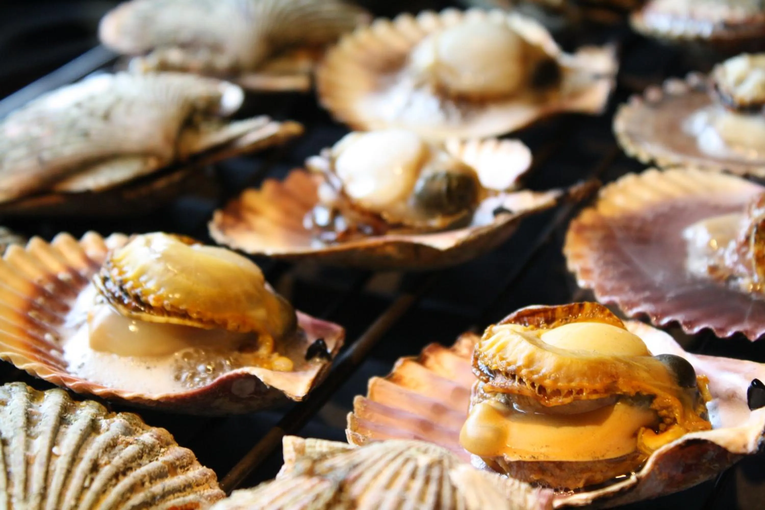 Dinner in Tabinoyado Ushionoakari Geiboso