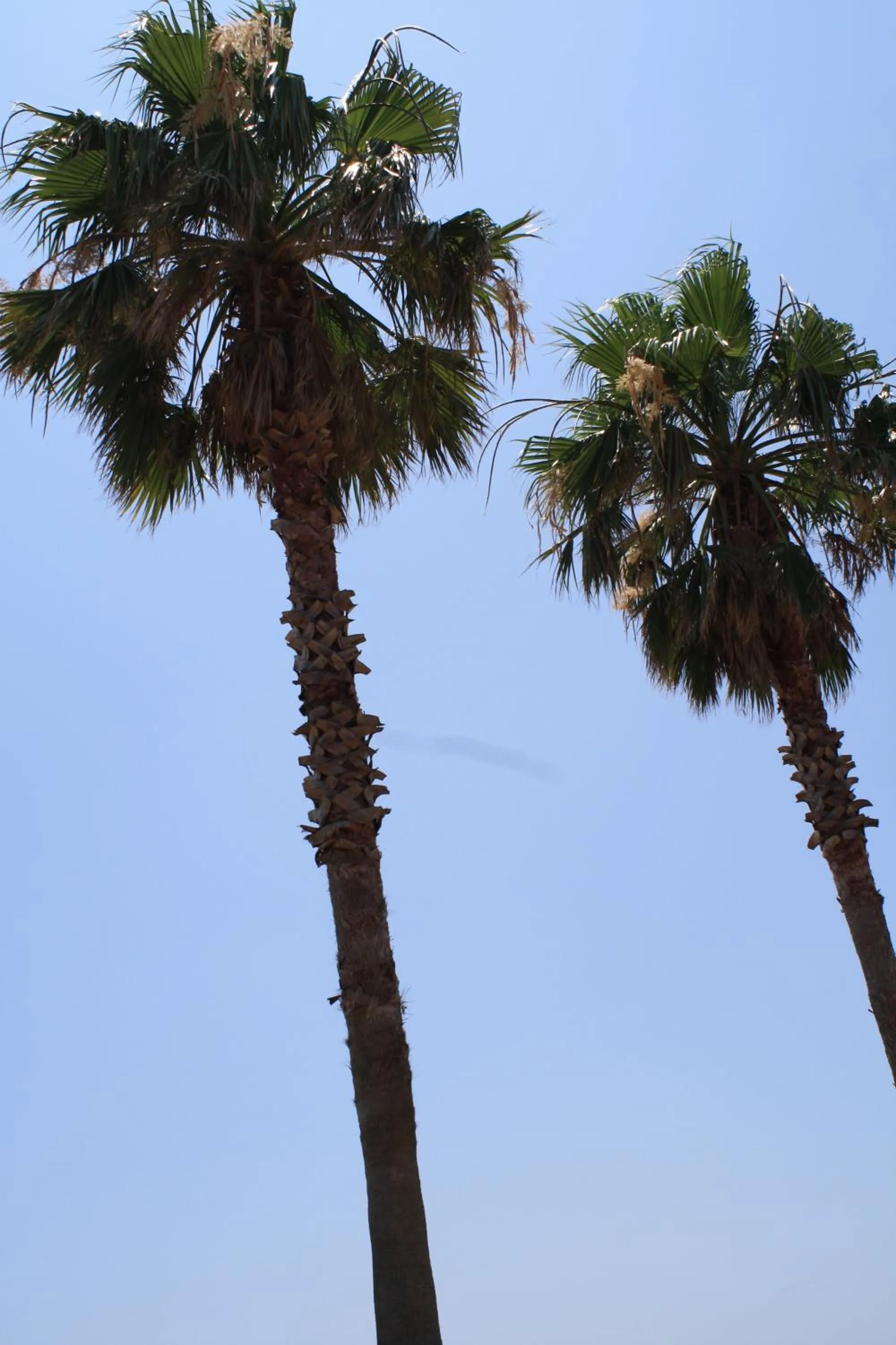 Off site in Tabinoyado Ushionoakari Geiboso