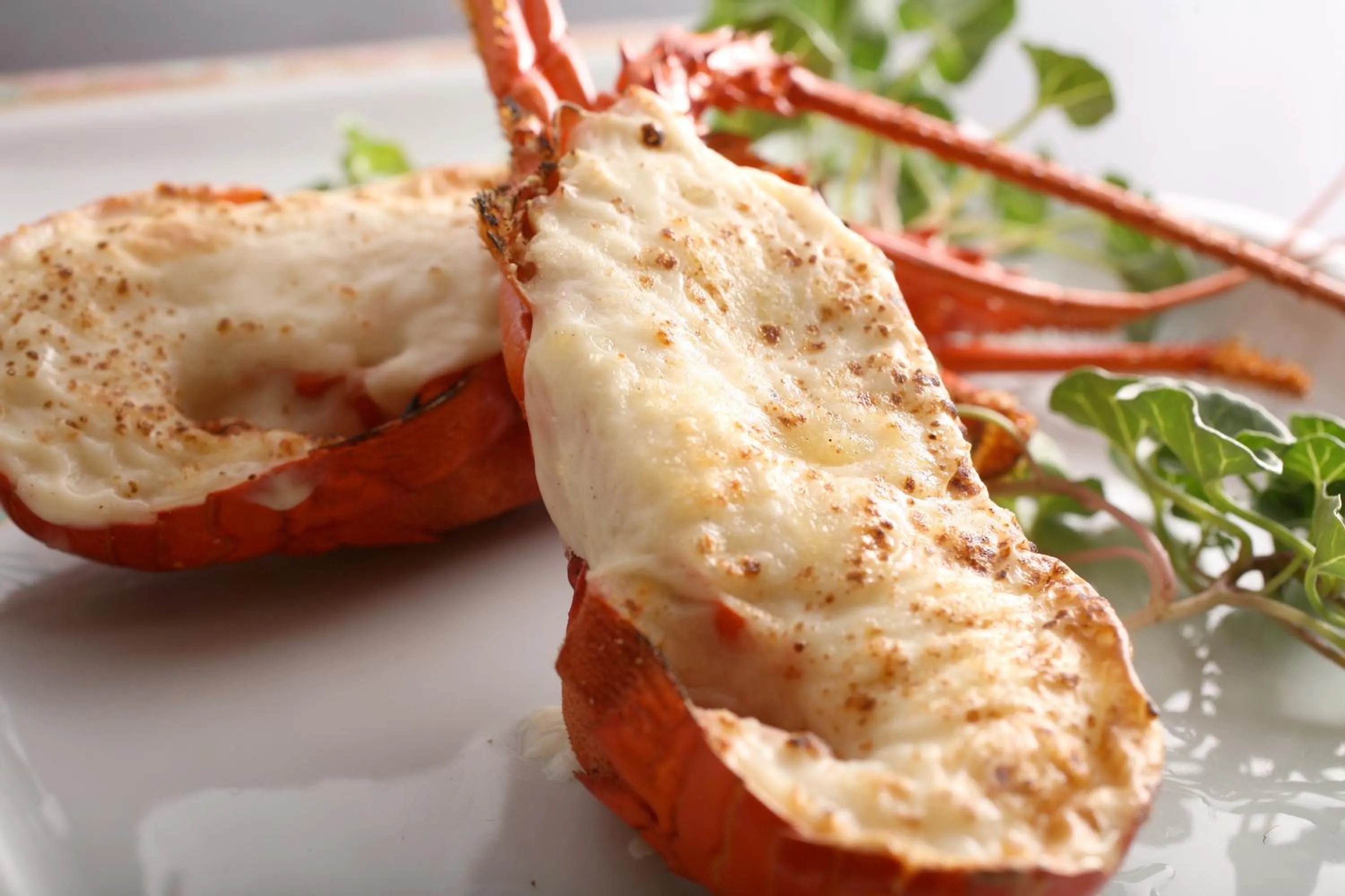 Tabinoyado Ushionoakari Geiboso