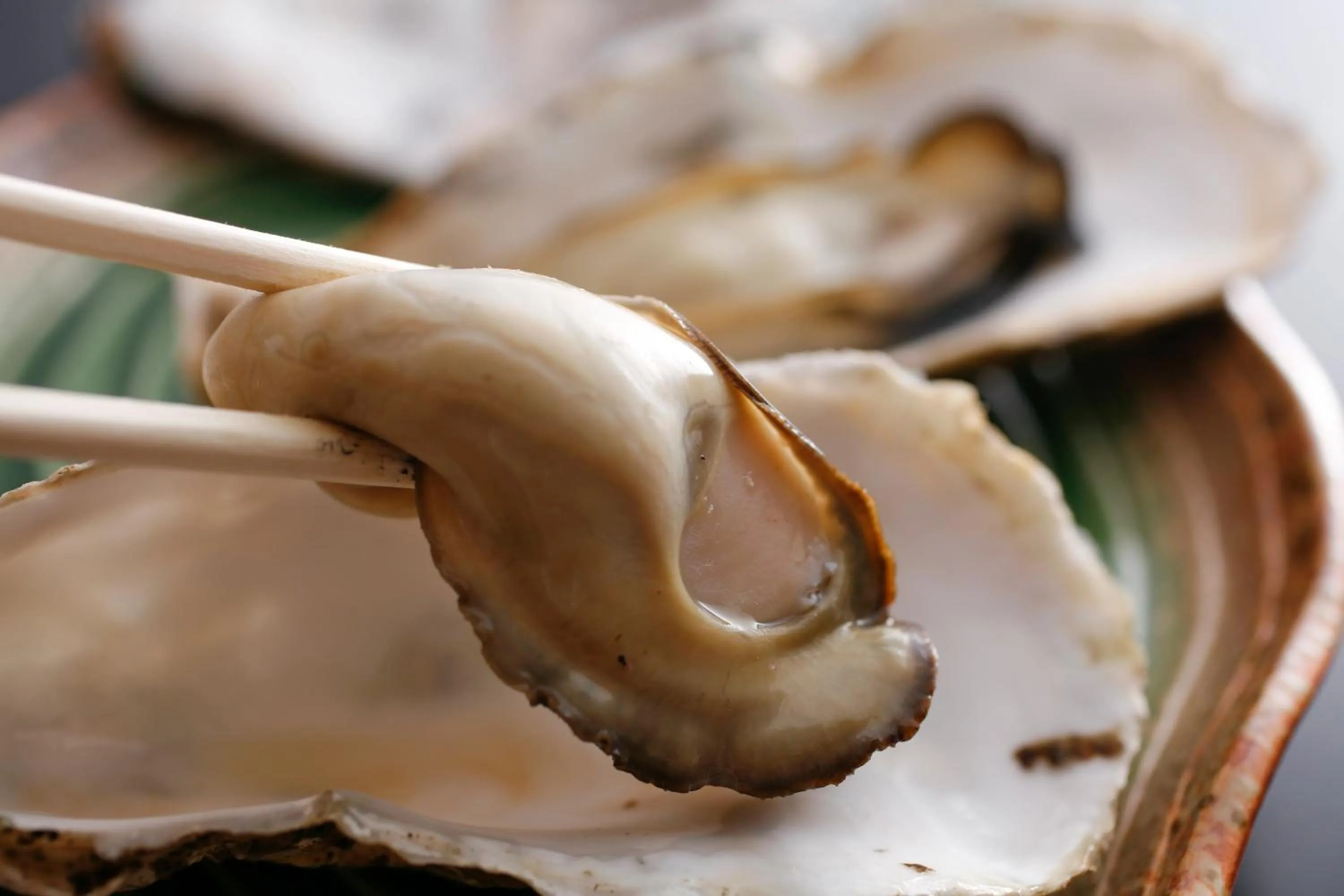 Tabinoyado Ushionoakari Geiboso