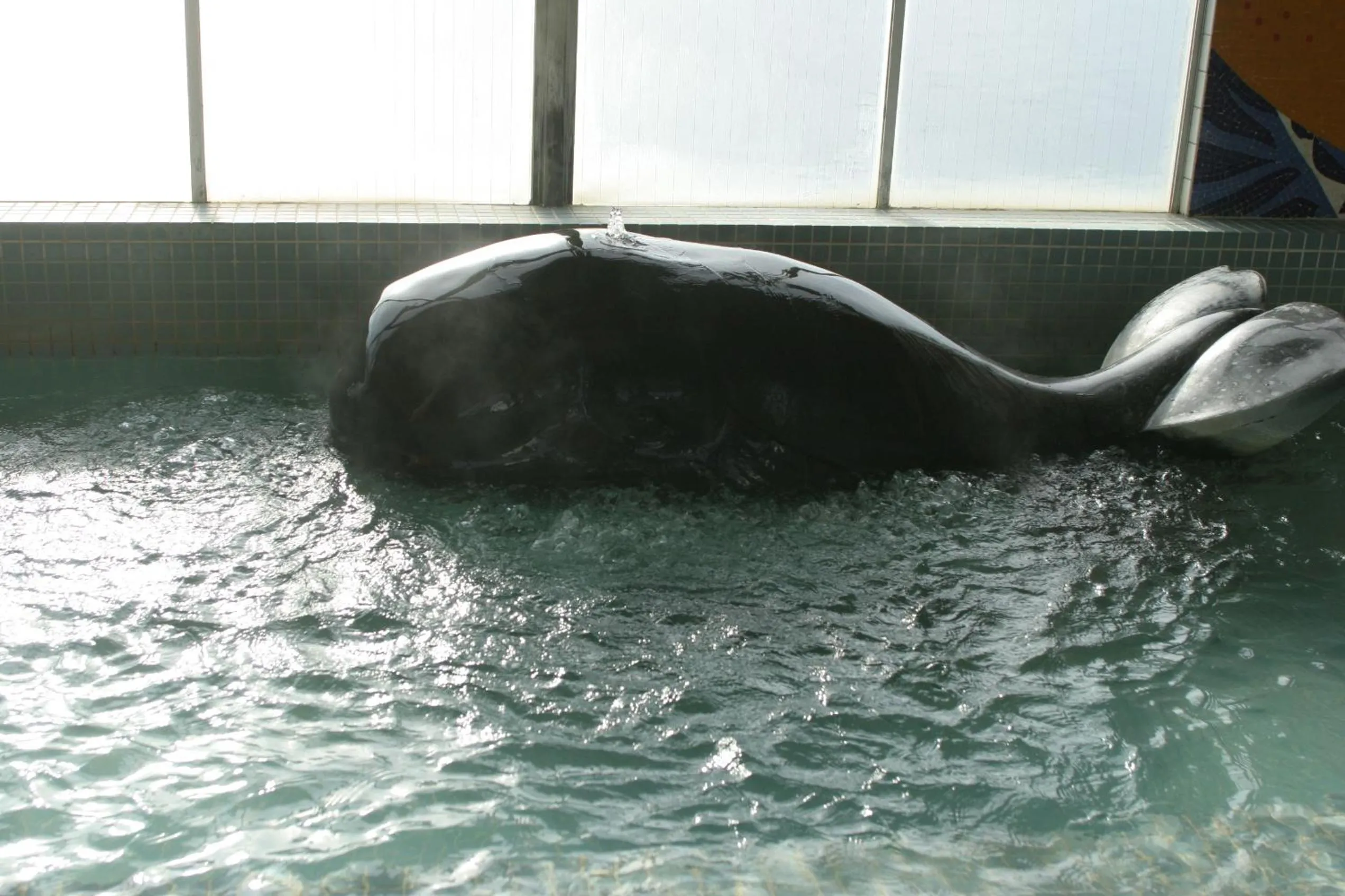 Day in Tabinoyado Ushionoakari Geiboso