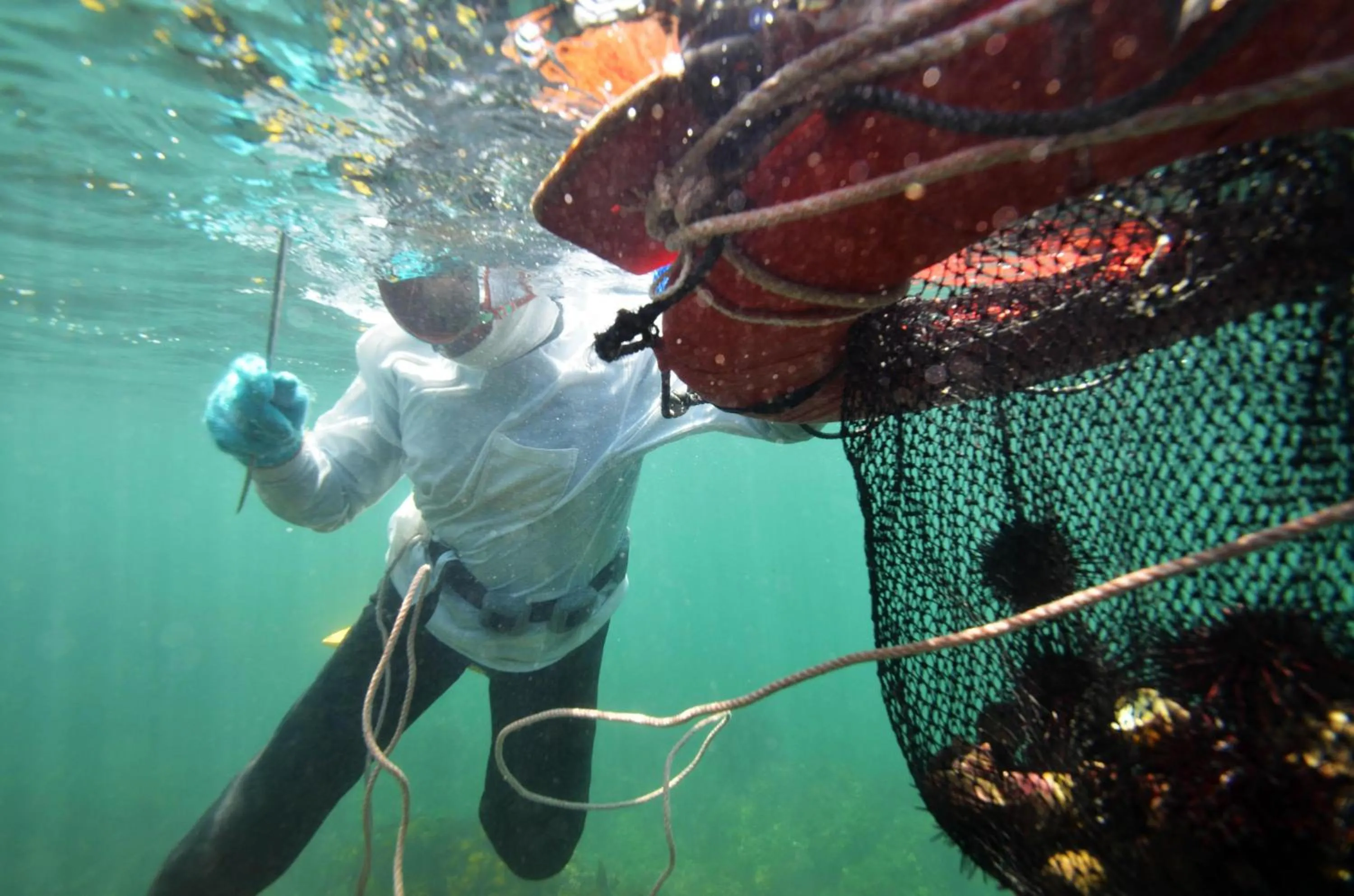 People in Tabinoyado Ushionoakari Geiboso
