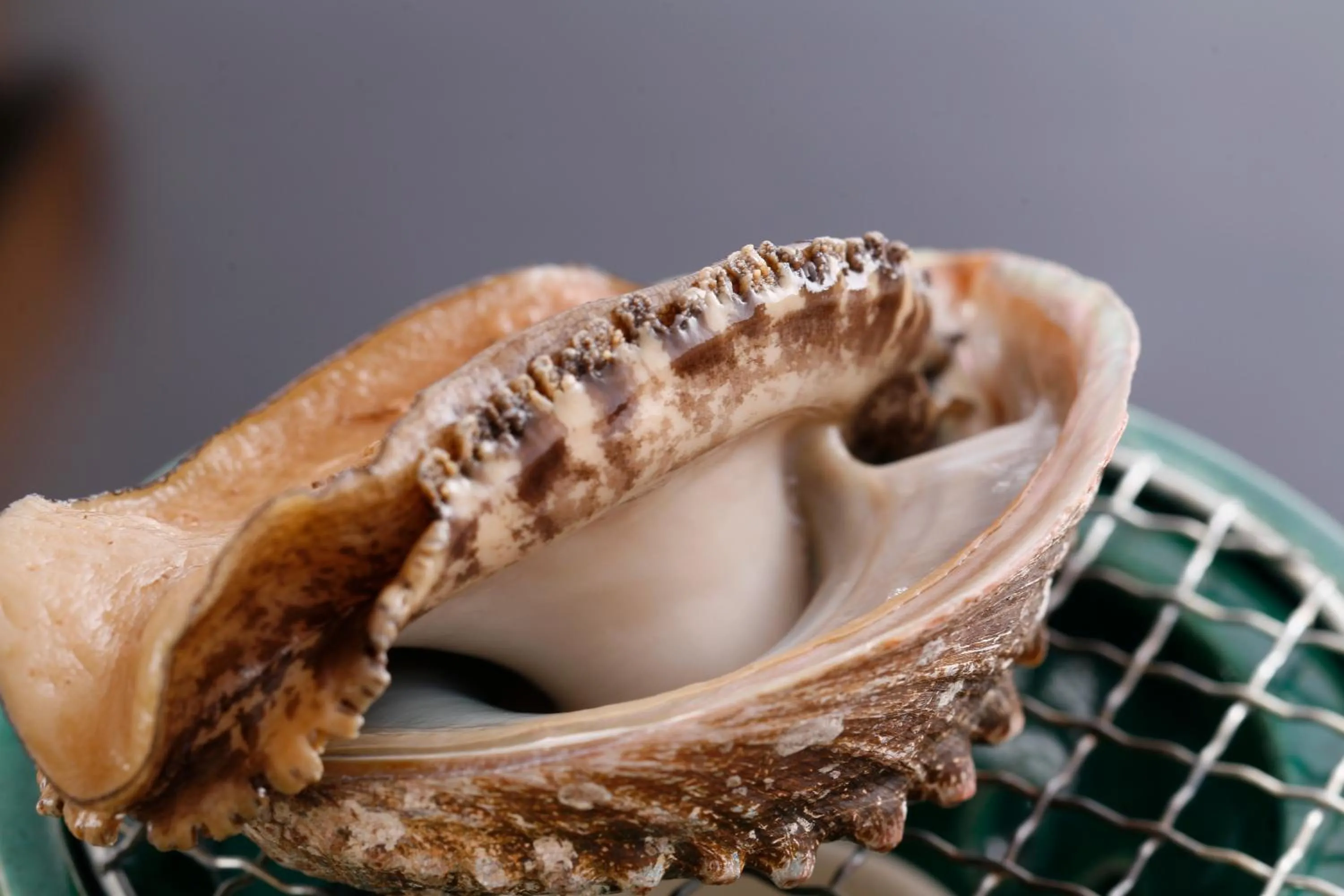 Tabinoyado Ushionoakari Geiboso