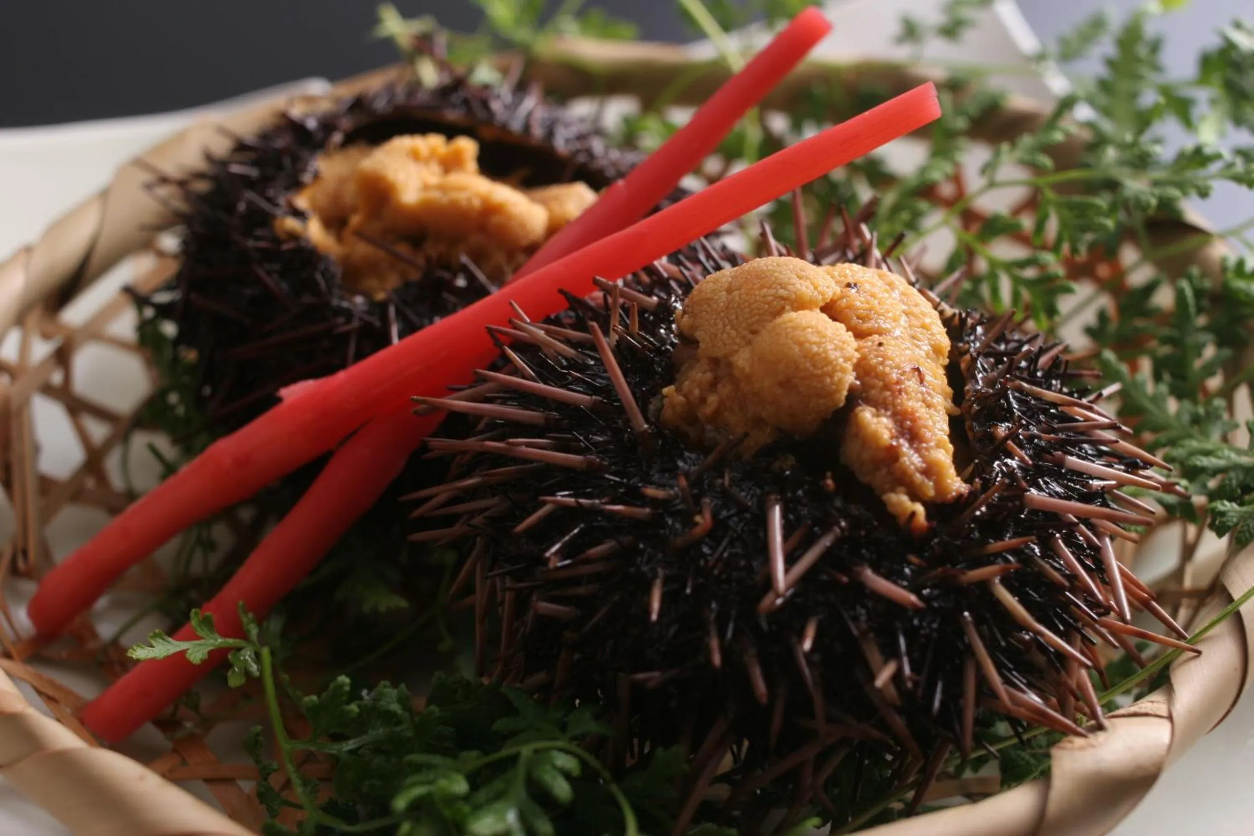 Tabinoyado Ushionoakari Geiboso