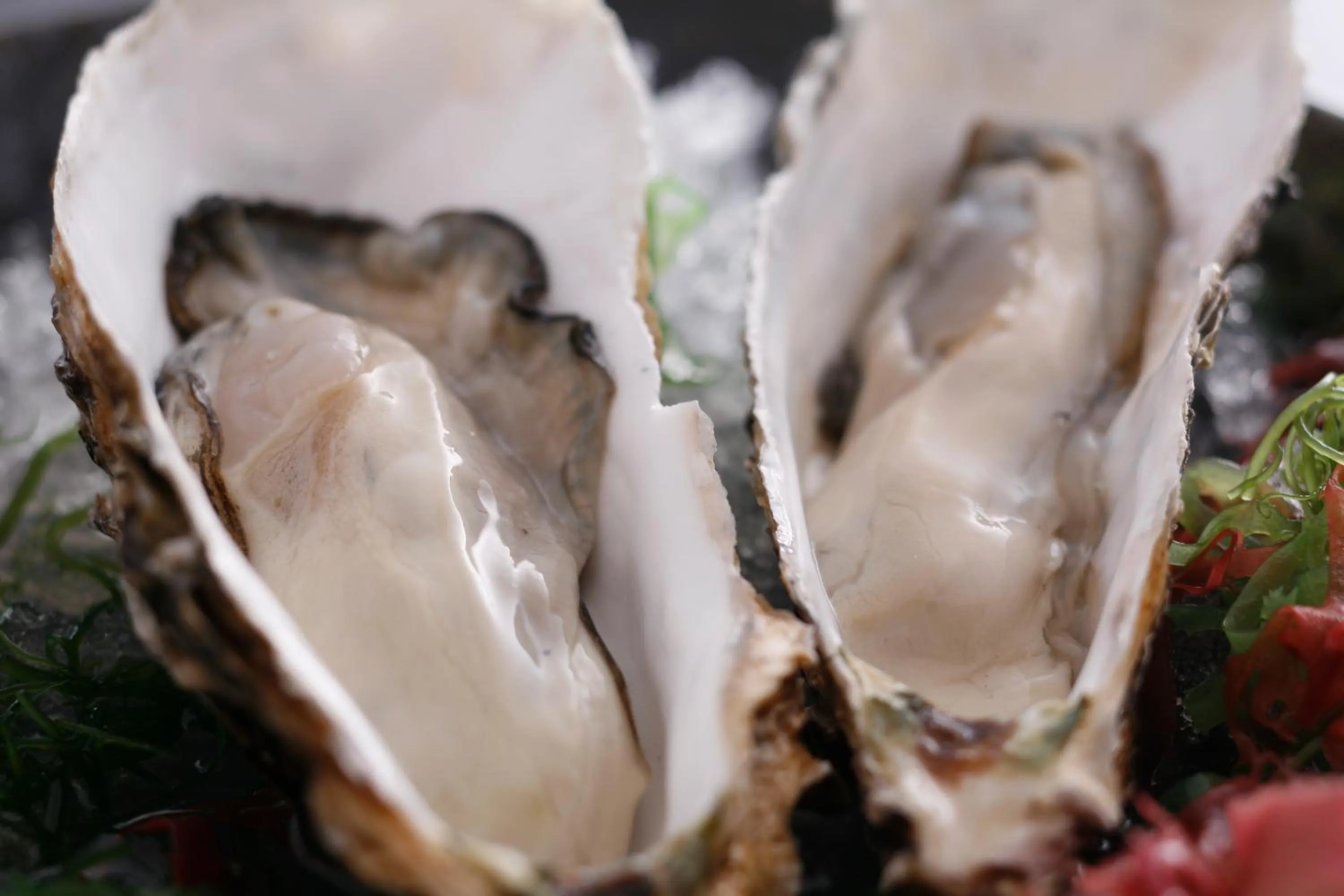 Food close-up in Tabinoyado Ushionoakari Geiboso