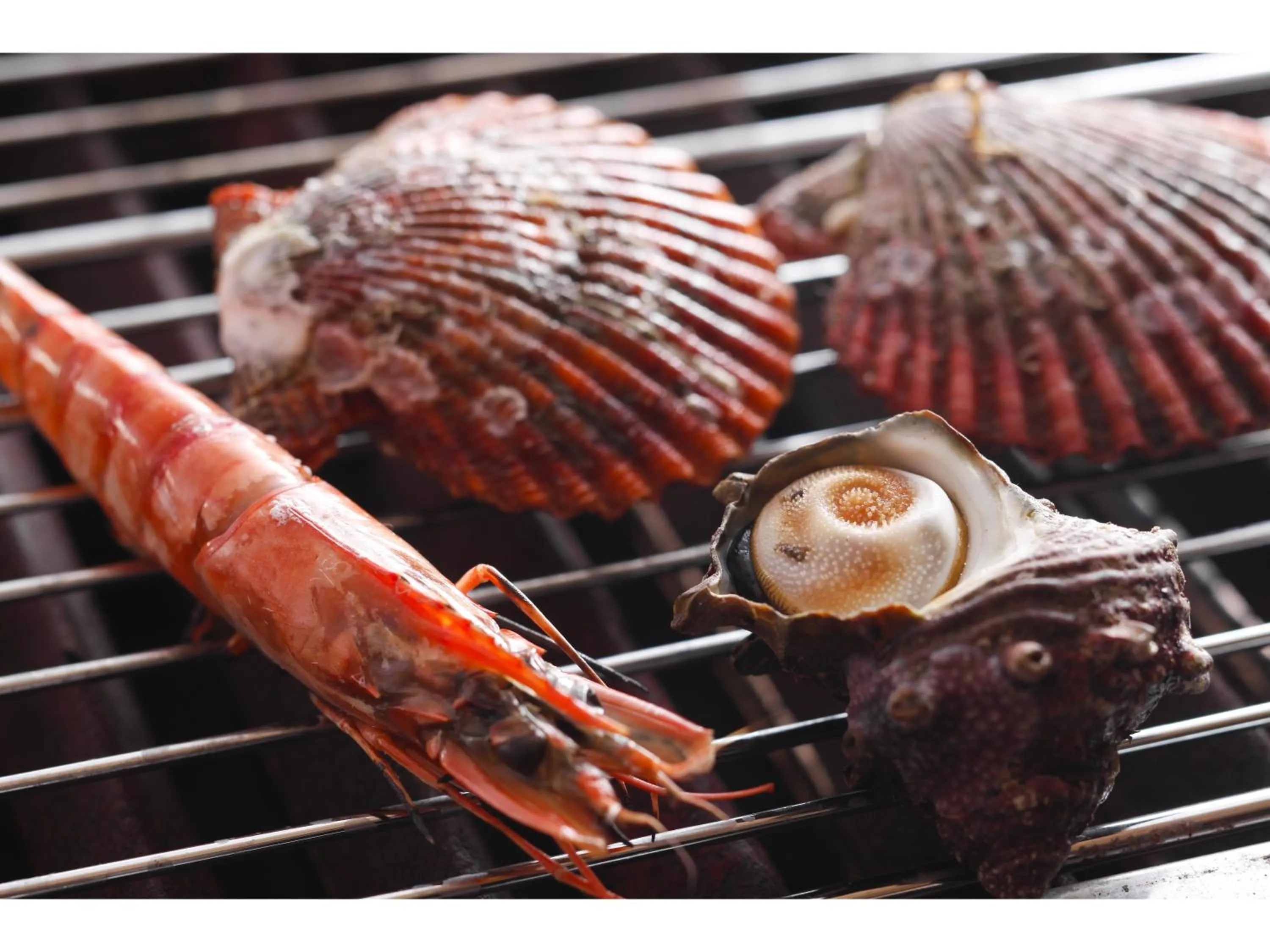 Tabinoyado Ushionoakari Geiboso