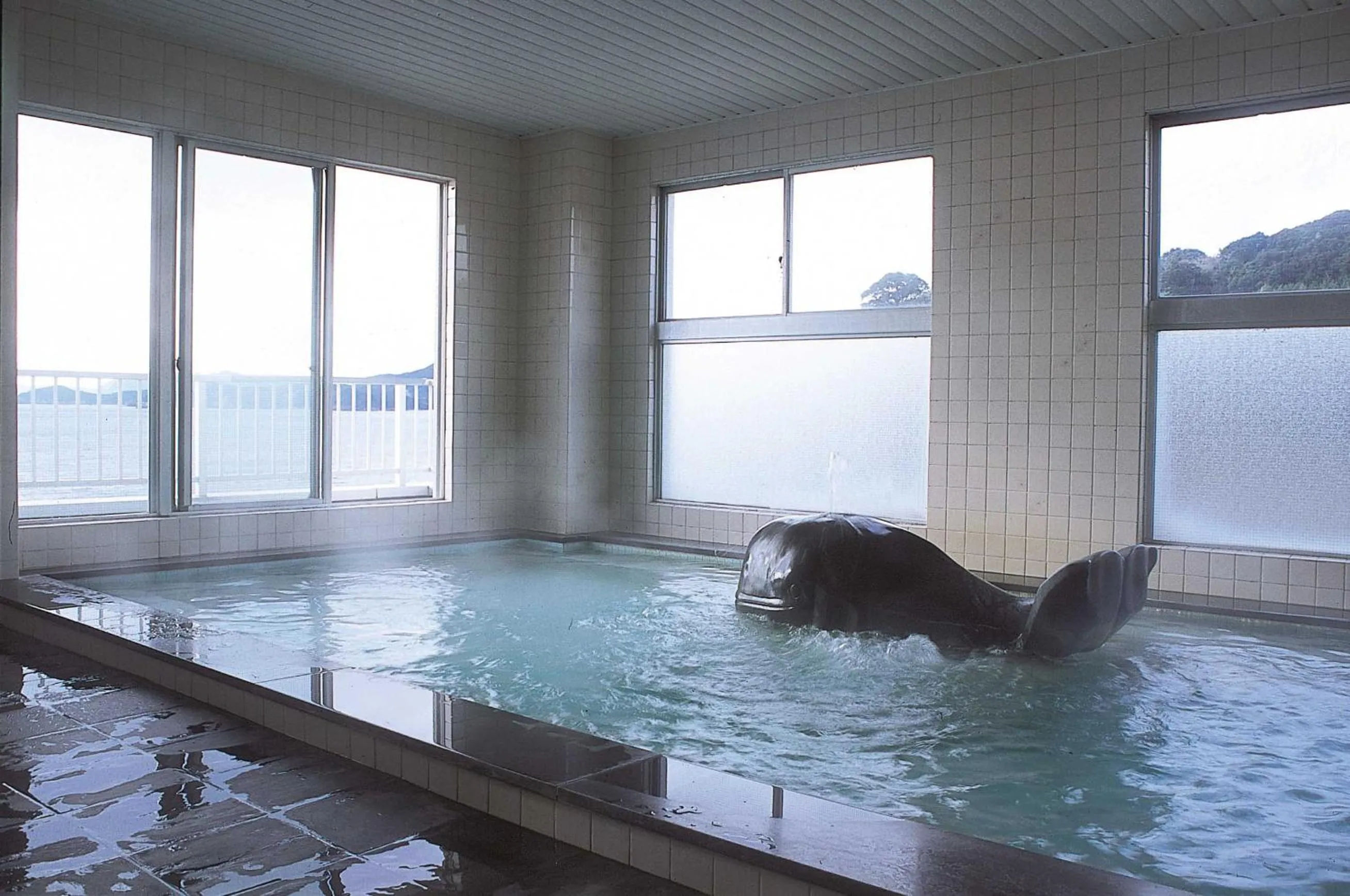 Hot Spring Bath in Tabinoyado Ushionoakari Geiboso
