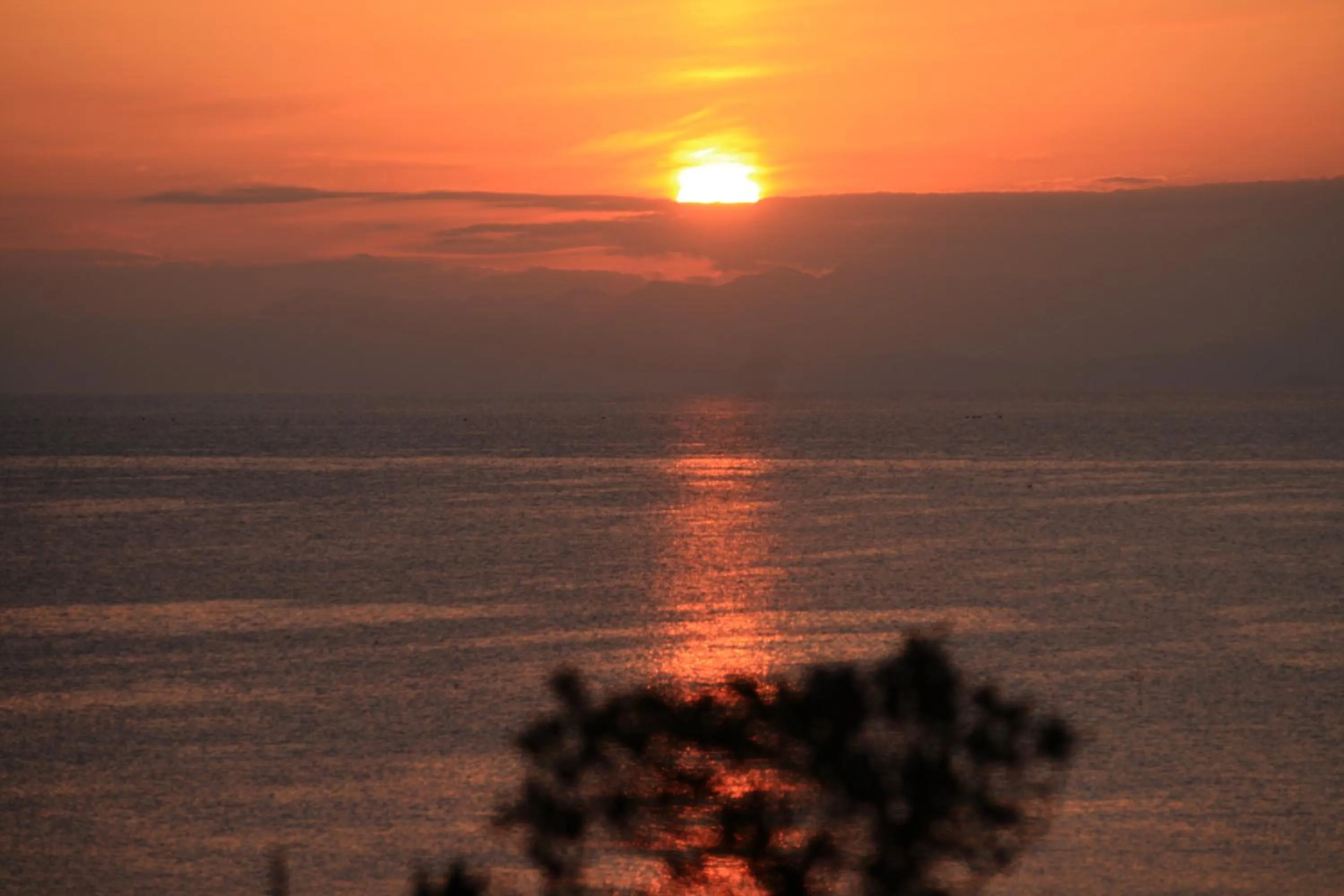 Sea view in Tabinoyado Ushionoakari Geiboso
