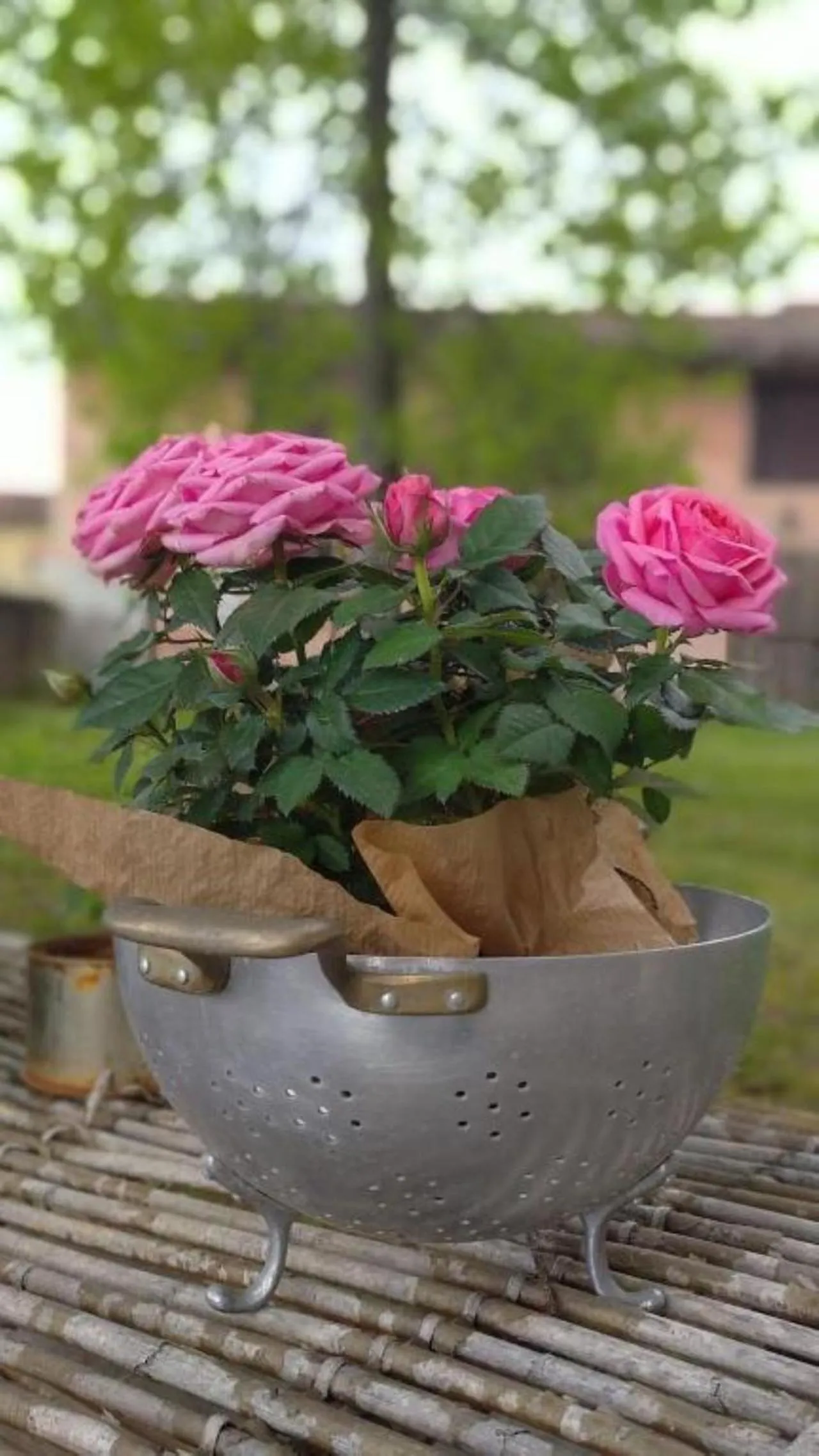 B&B Ernestine Family Home