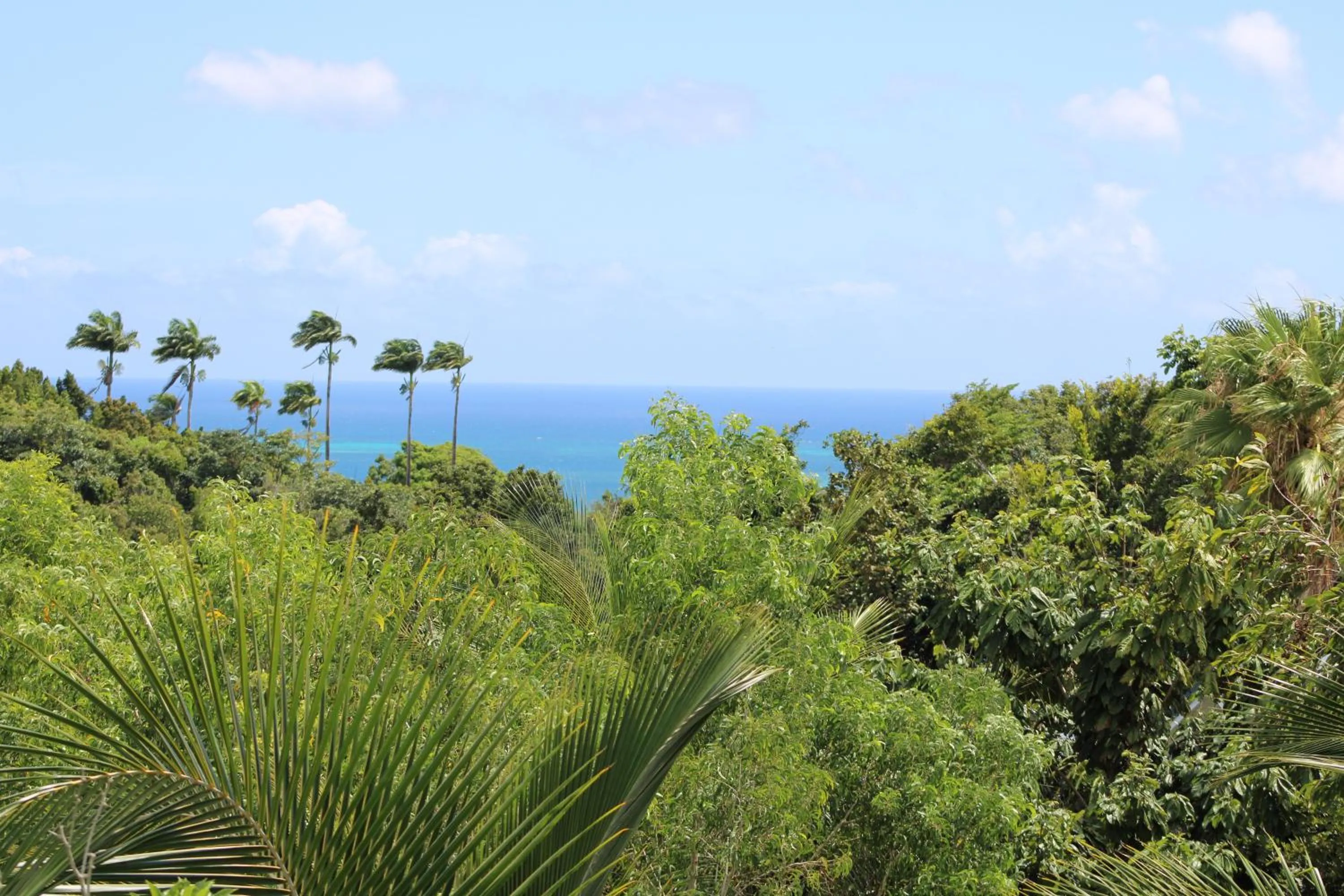 Balcony/Terrace in Villa Écrin de Nature