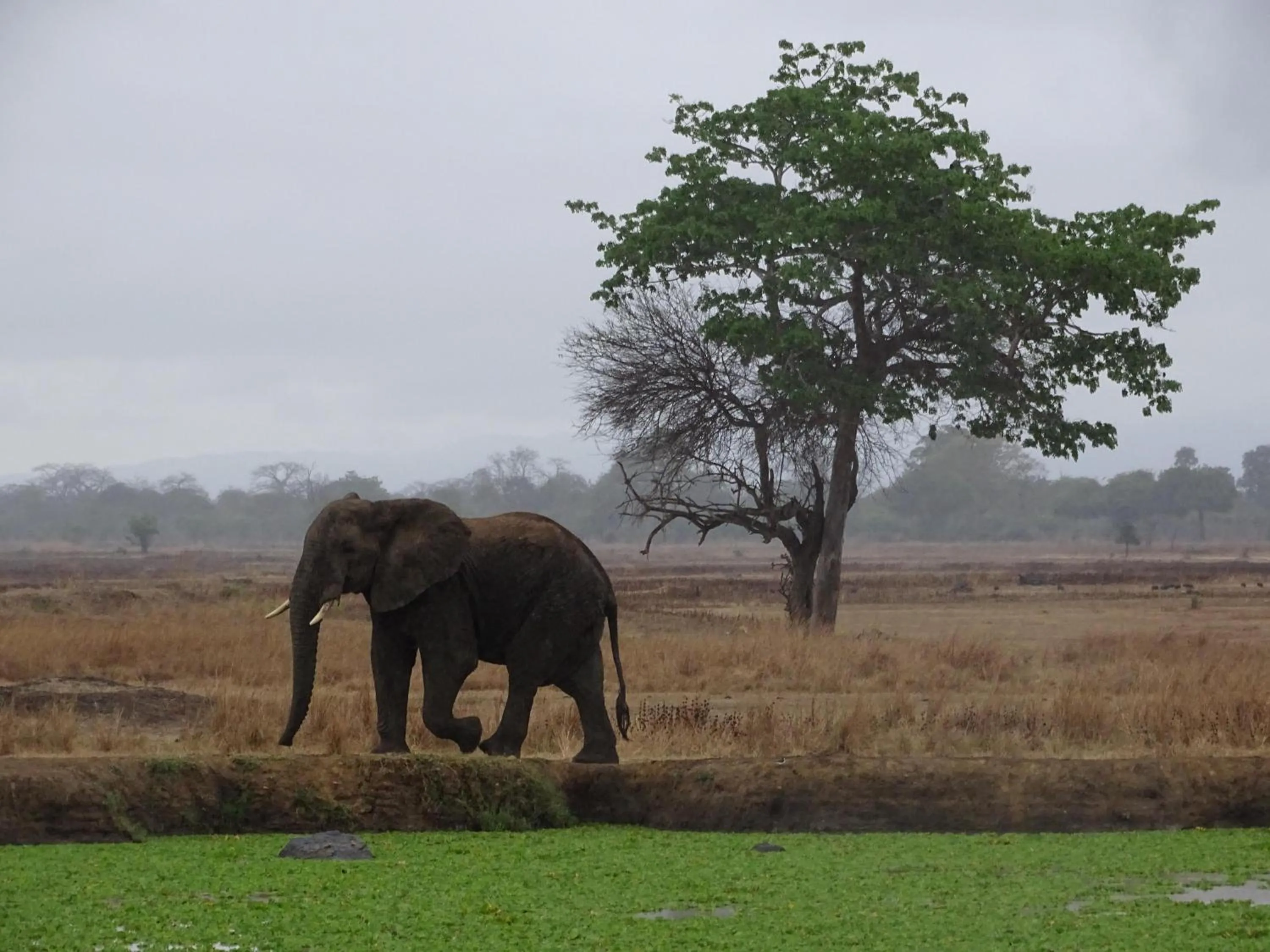 Beach in Eden Paradise