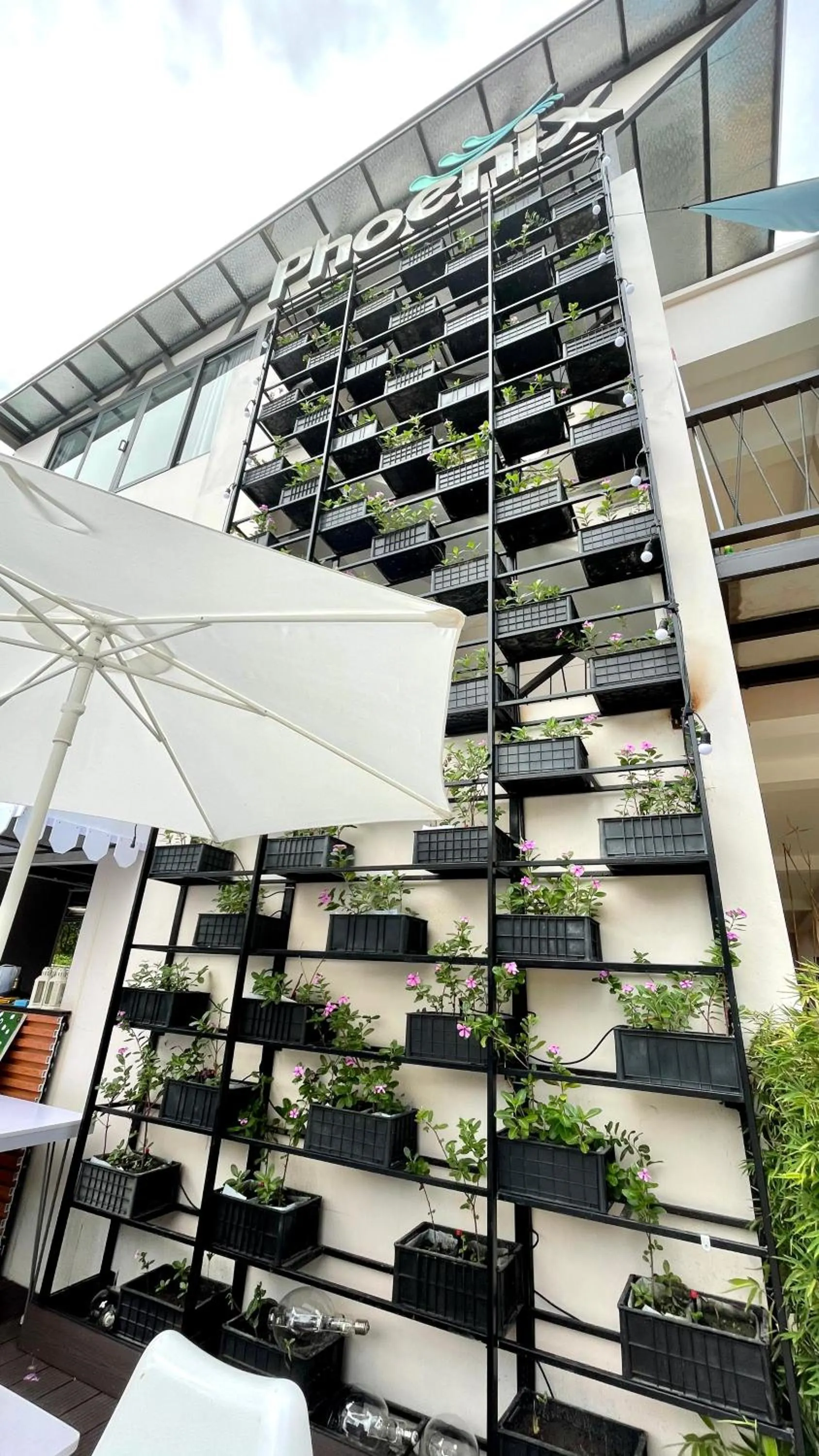 Property building in PHOENIX MINH CHÂU HOTEL