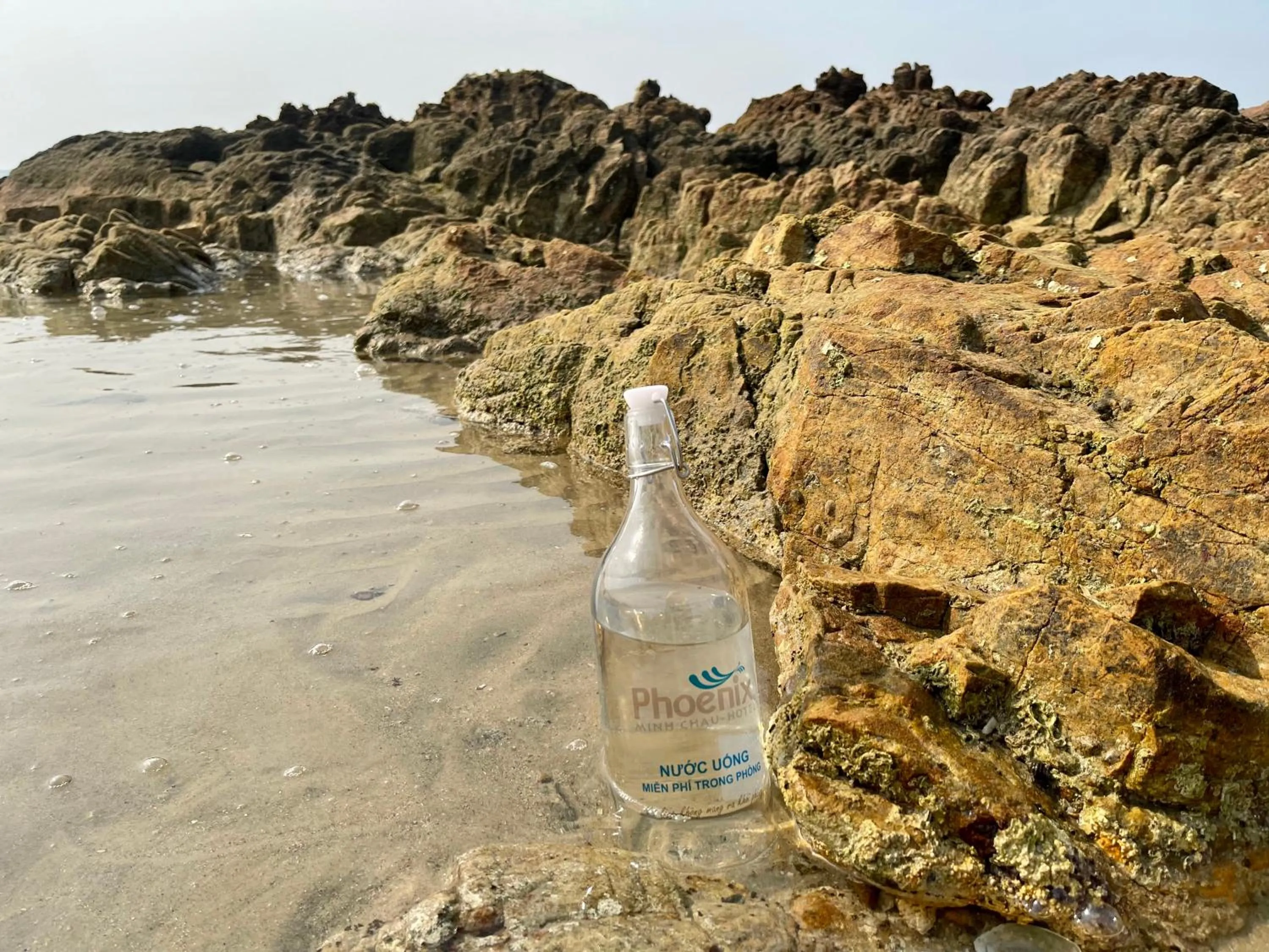 Natural landscape in PHOENIX MINH CHÂU HOTEL