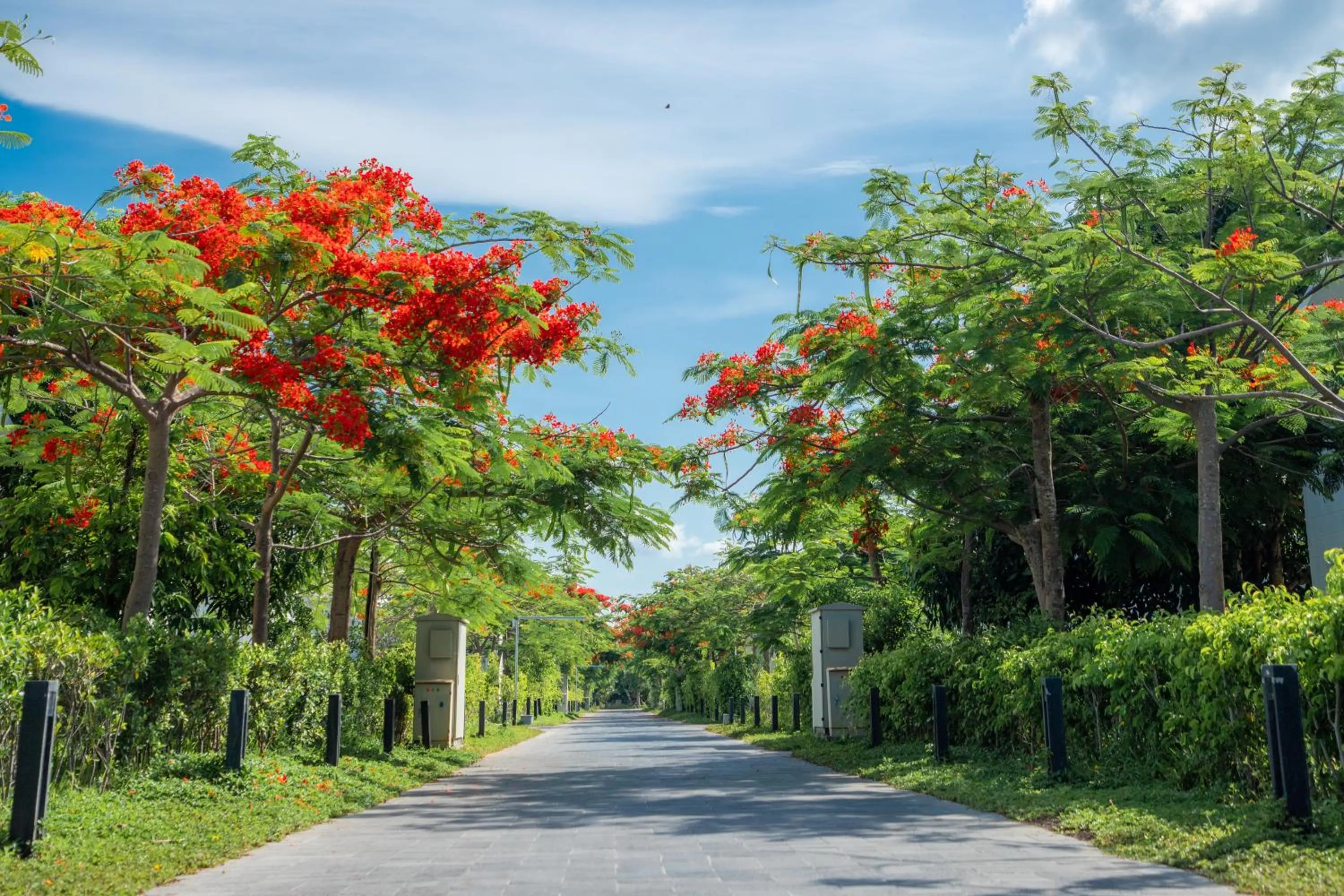 Natural landscape in Perolas Villas Resort - Ke Ga Bay